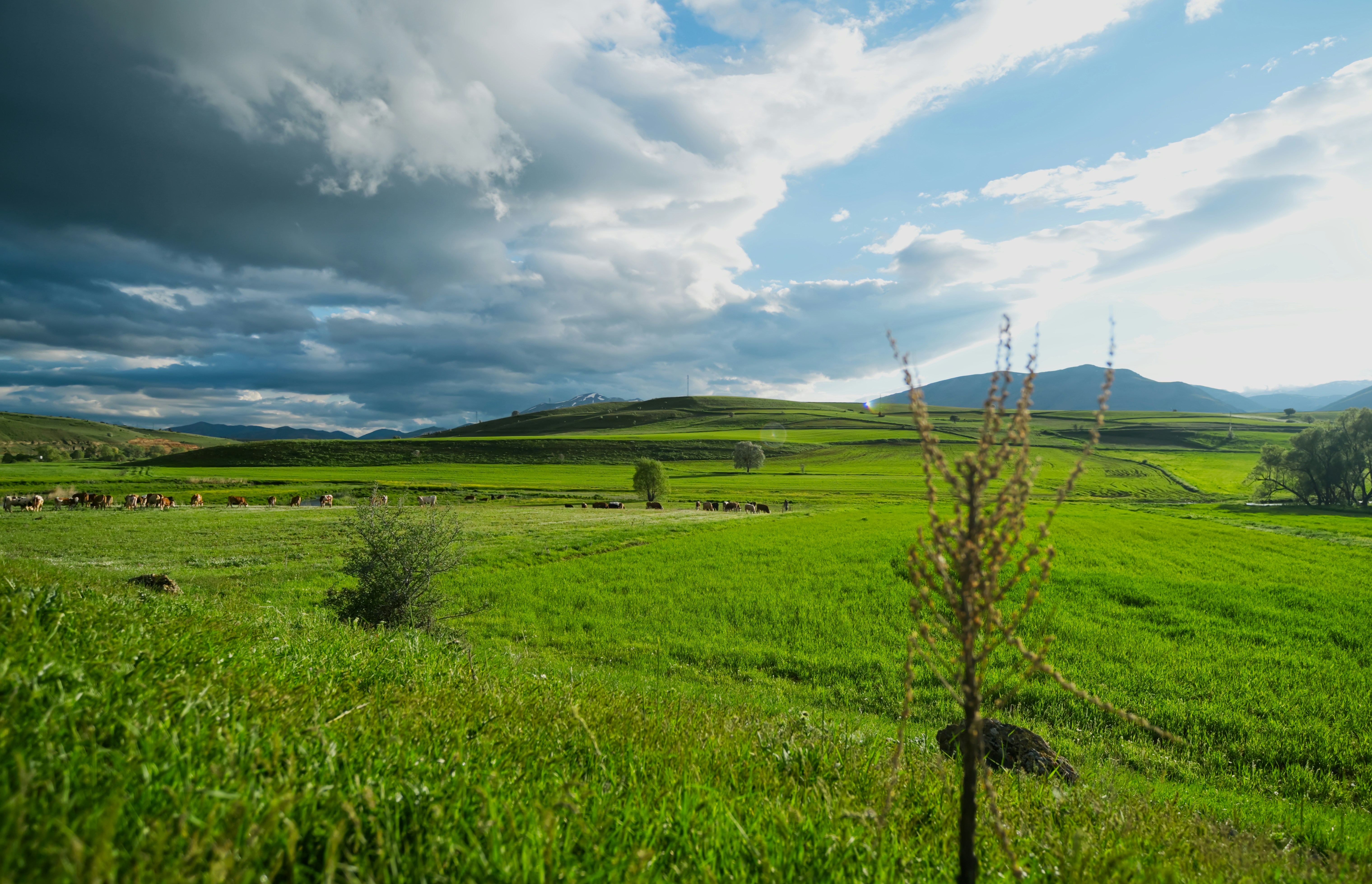 Photo by iozmen