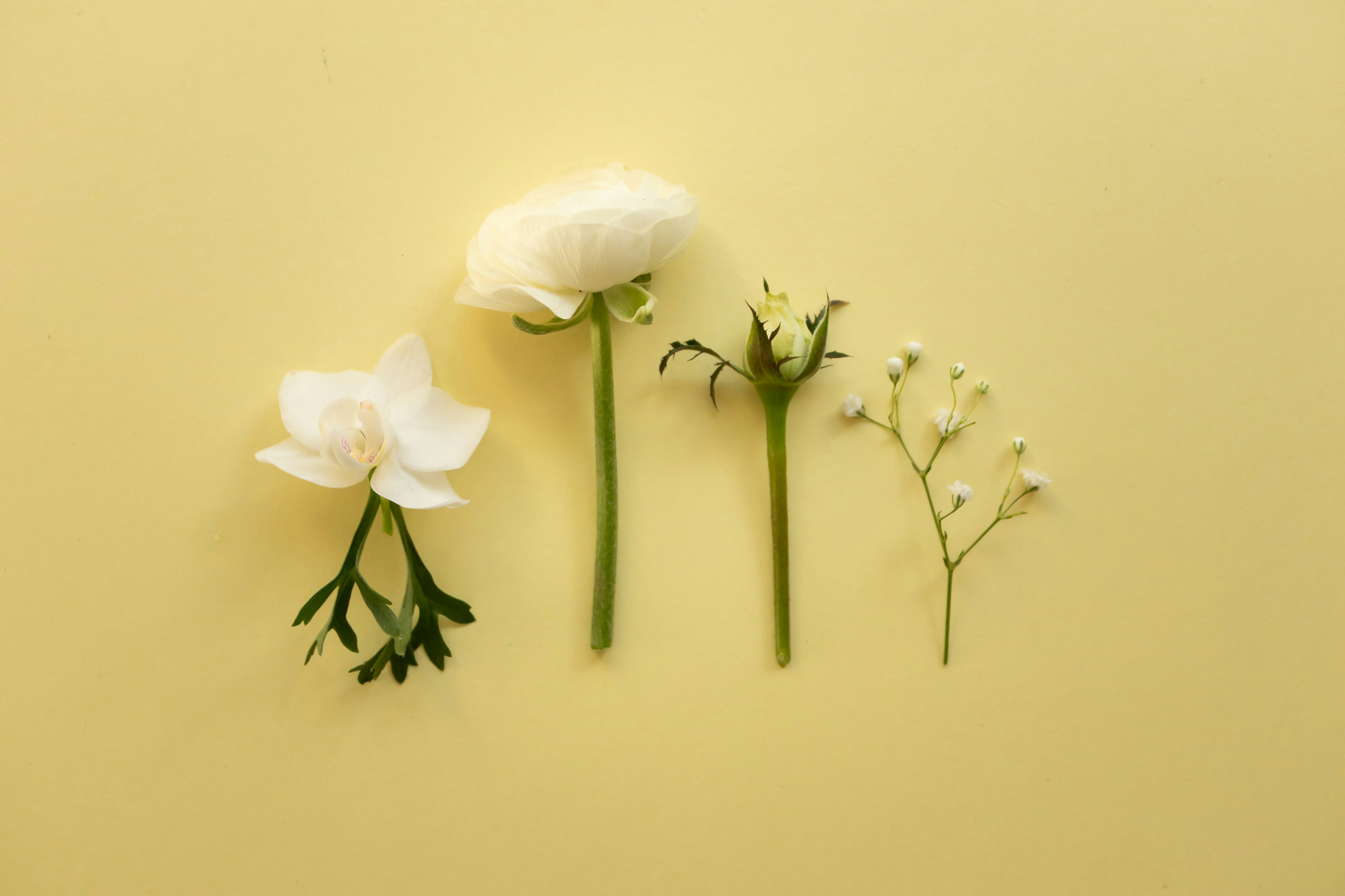 Photo by vandaantje