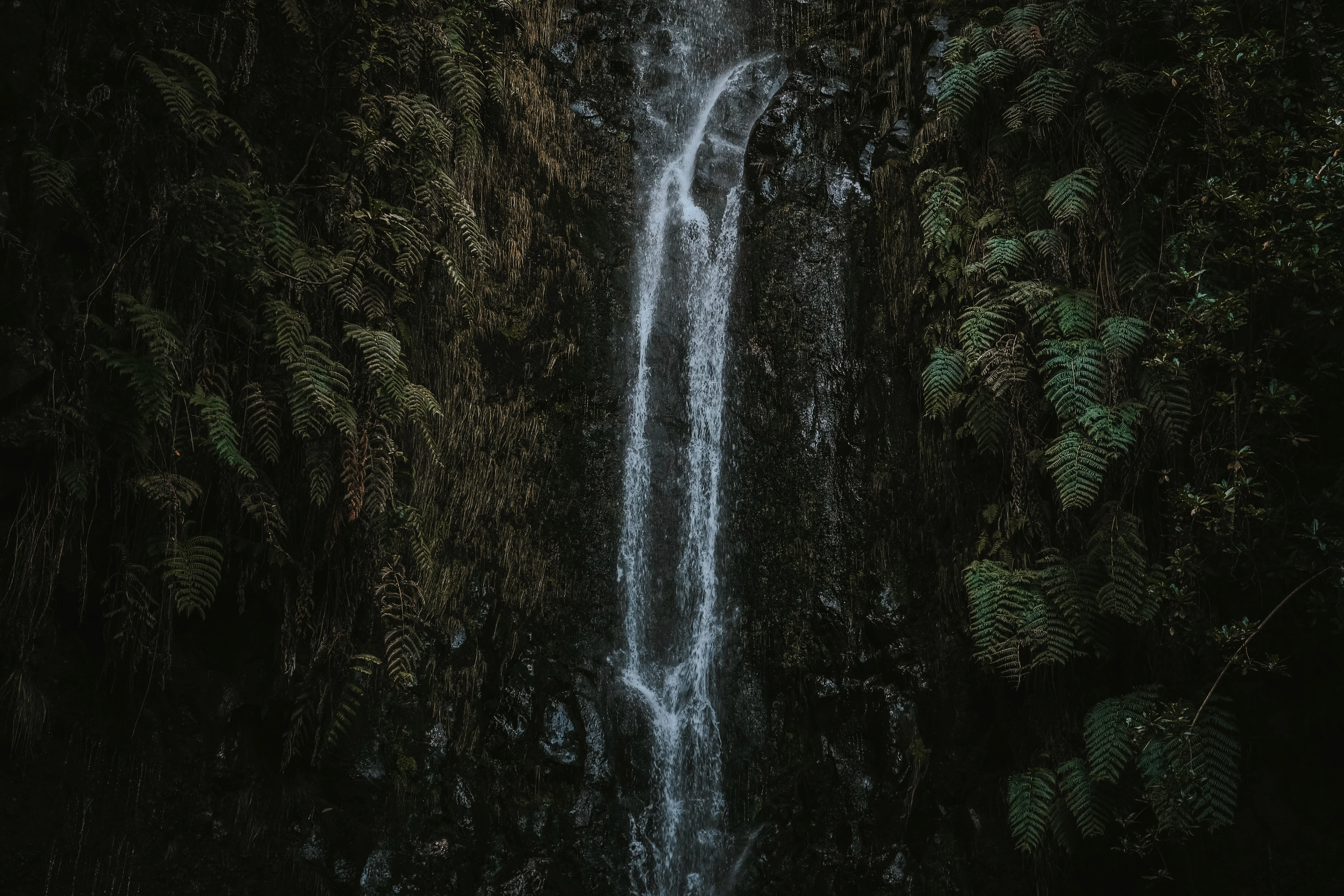 Wallpaper