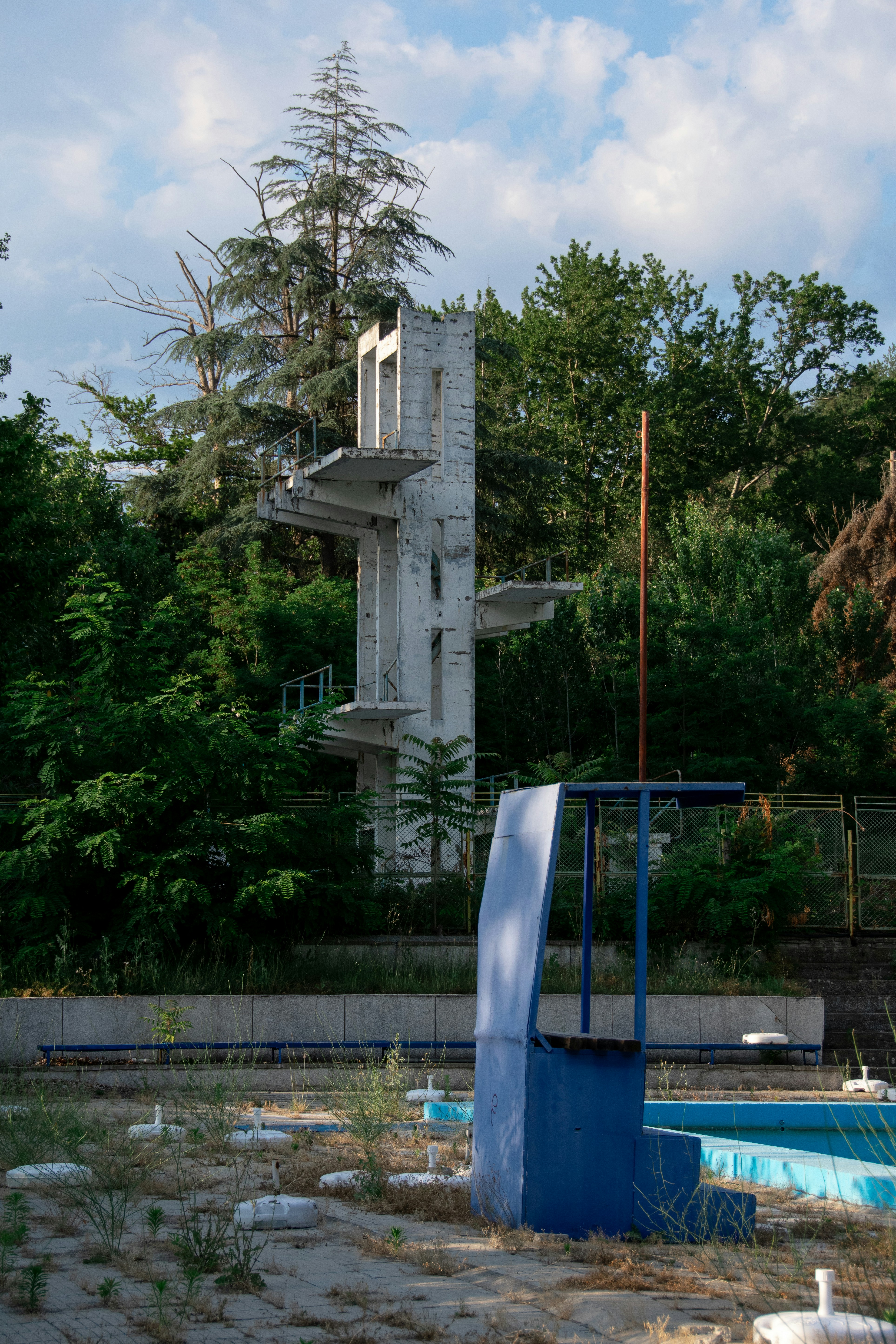 An abandoned diving tower and overgrown swimming pool