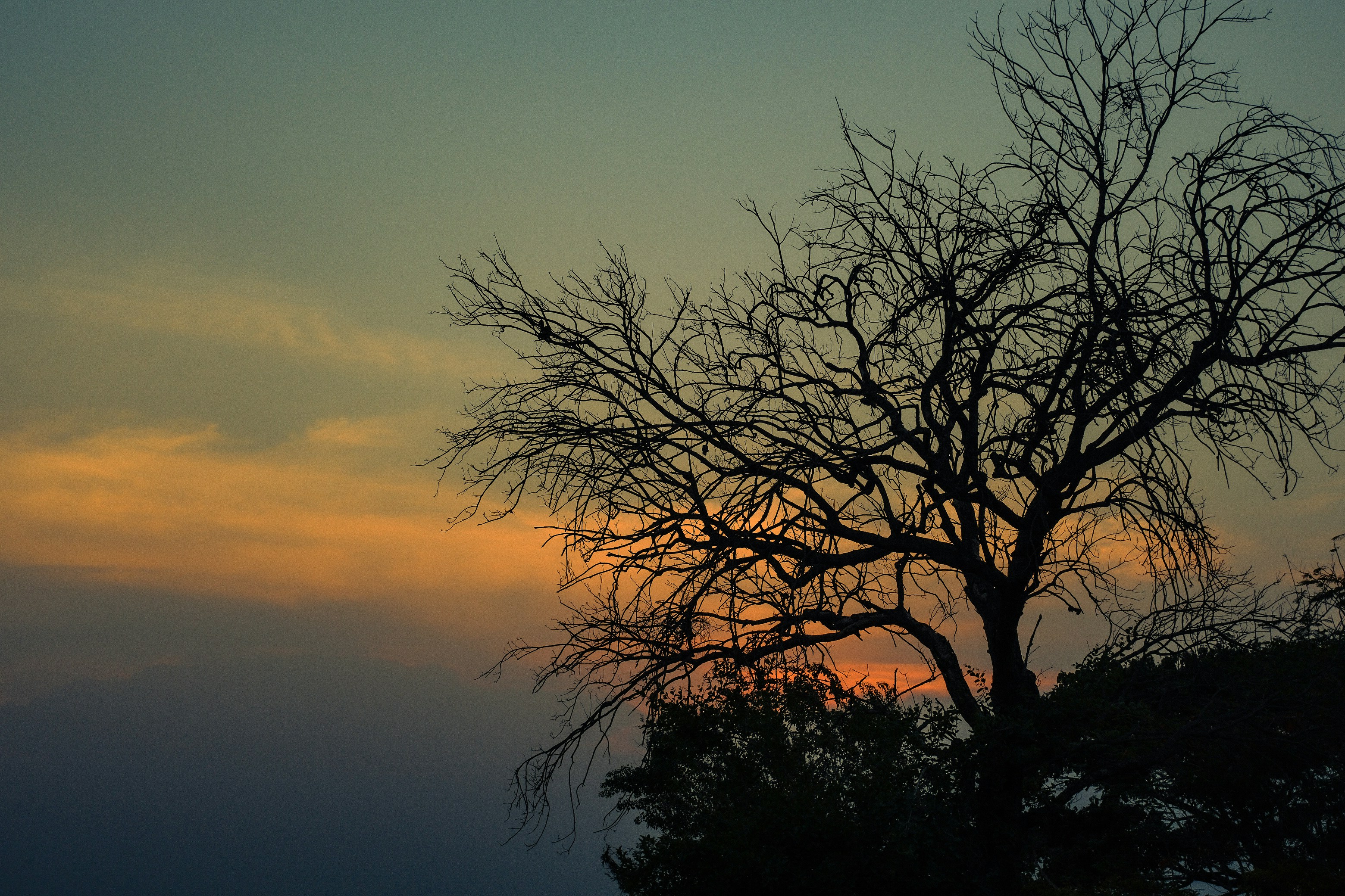 Photo by manishamix