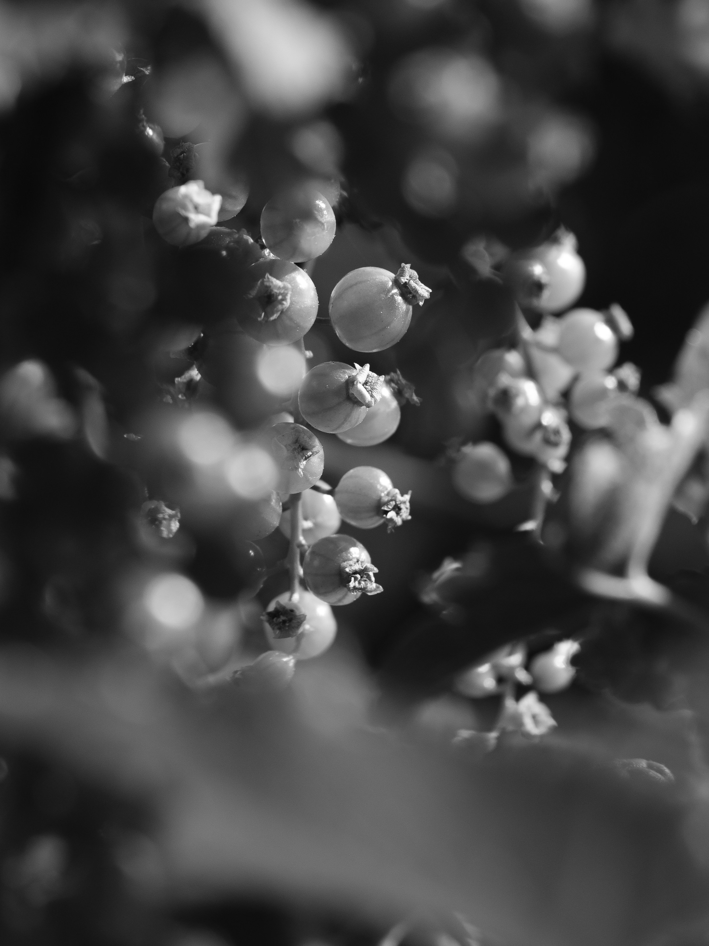 Photo by haberdoedas