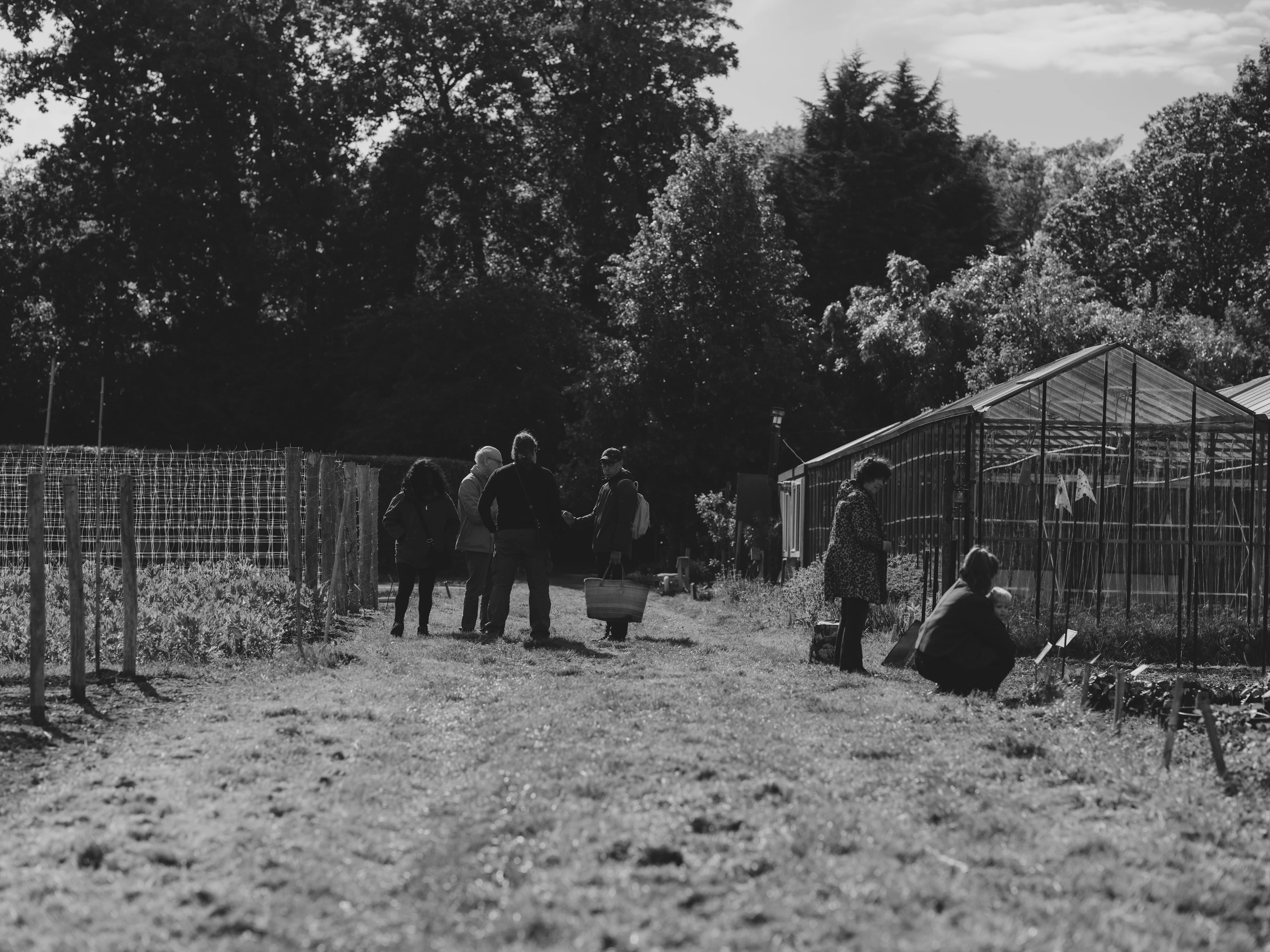 People learning in a garden next to a greenhouse