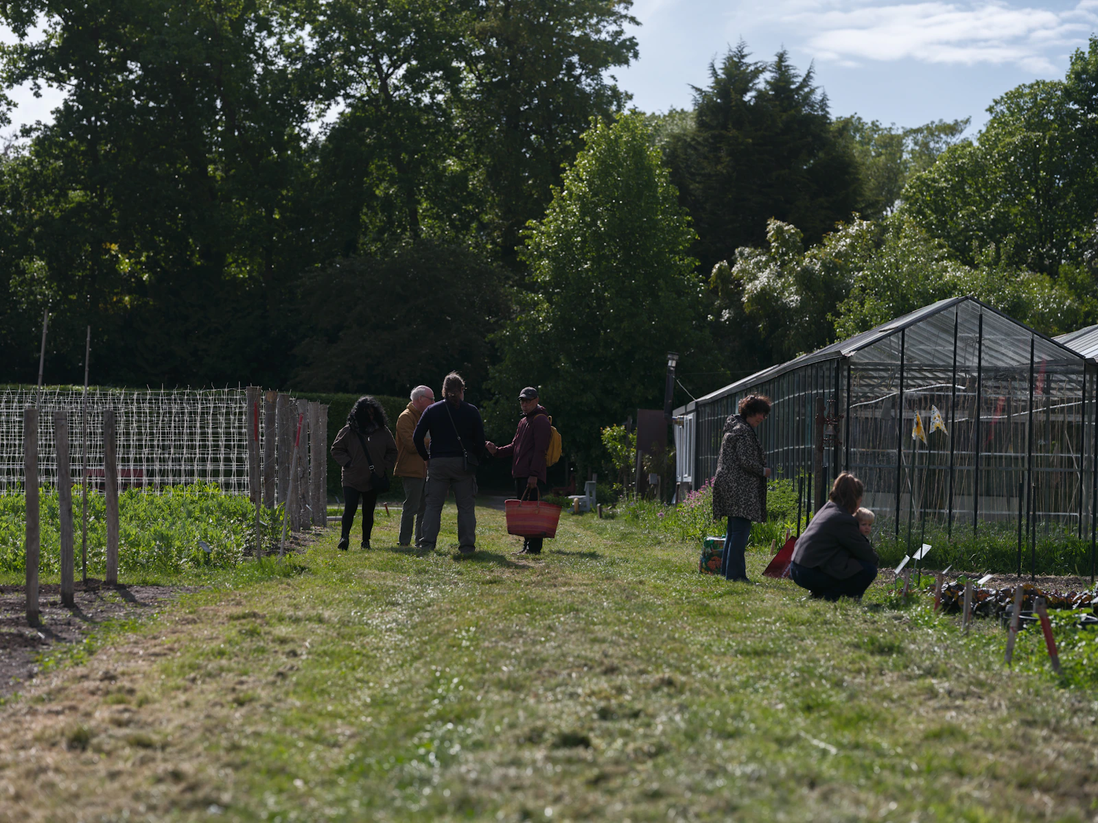People working together in a community garden with greenhouses
