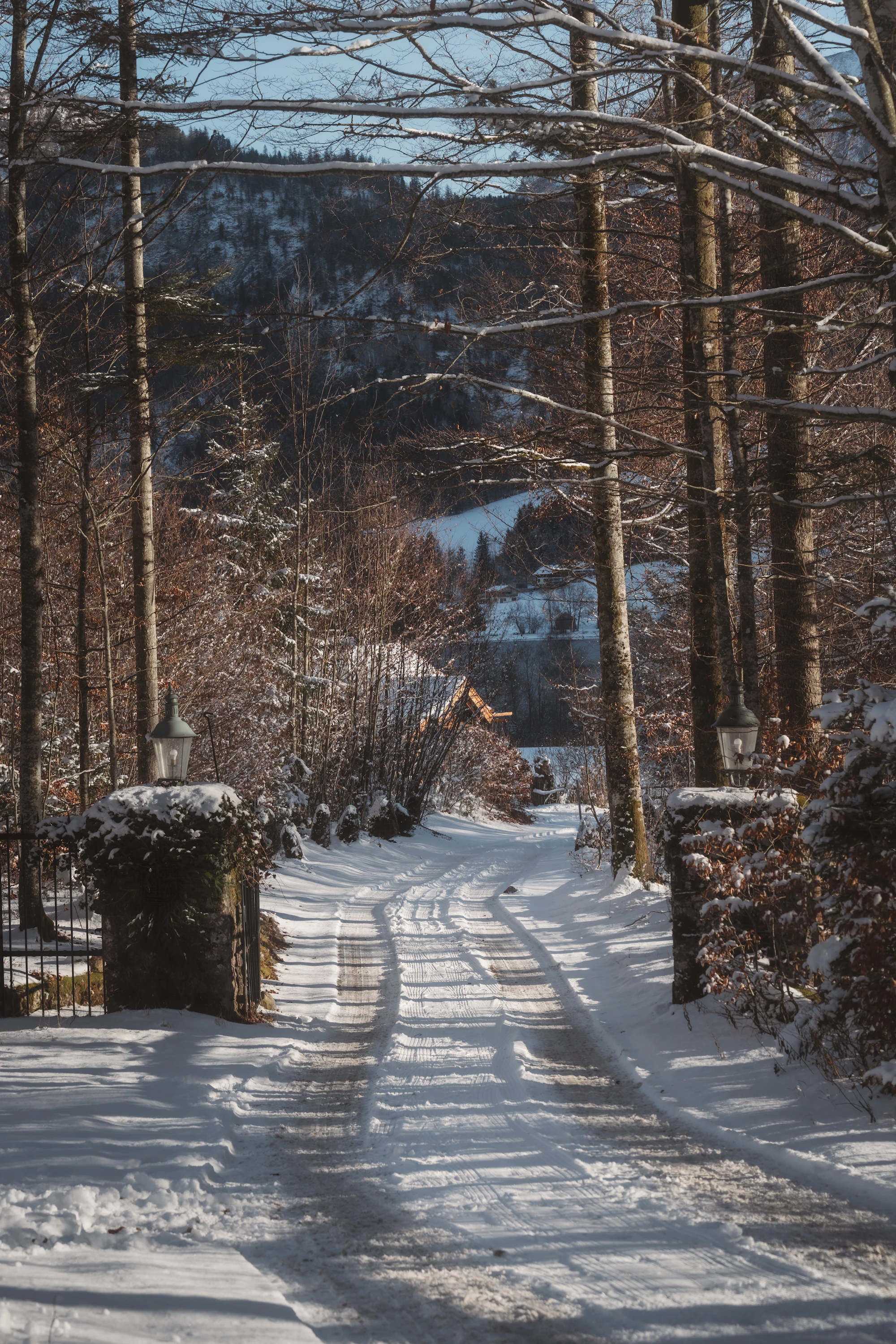 A snow-covered driveway and walkway flanked by trees at a single-family rental, the kind of surface a lease usually assigns to the tenant.