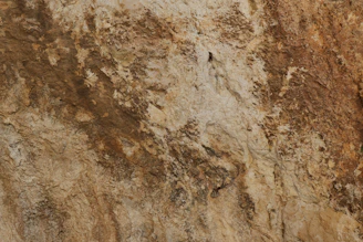 Rough, textured brown and beige rock surface.