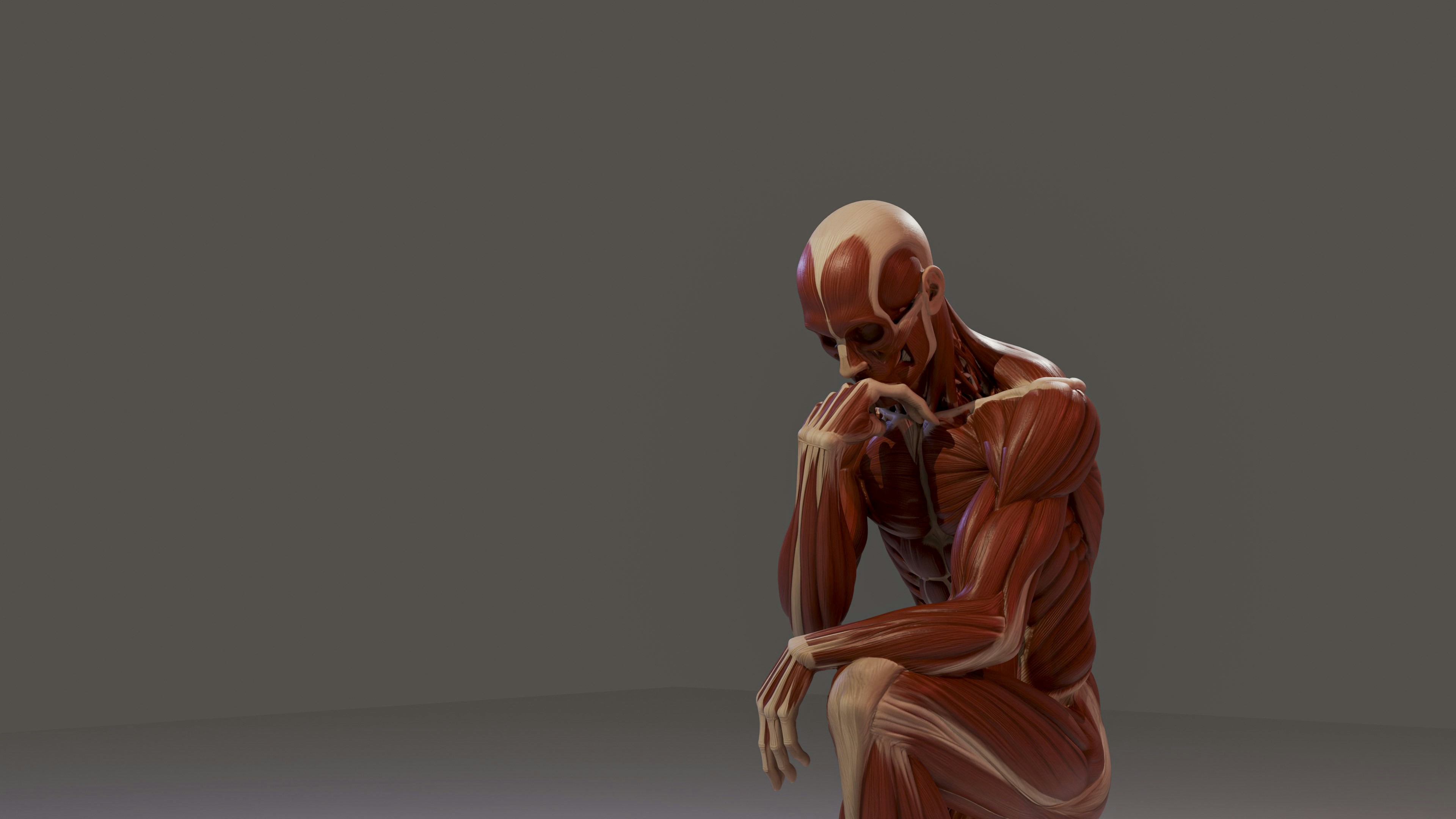 A human muscular system model in a thinking pose.