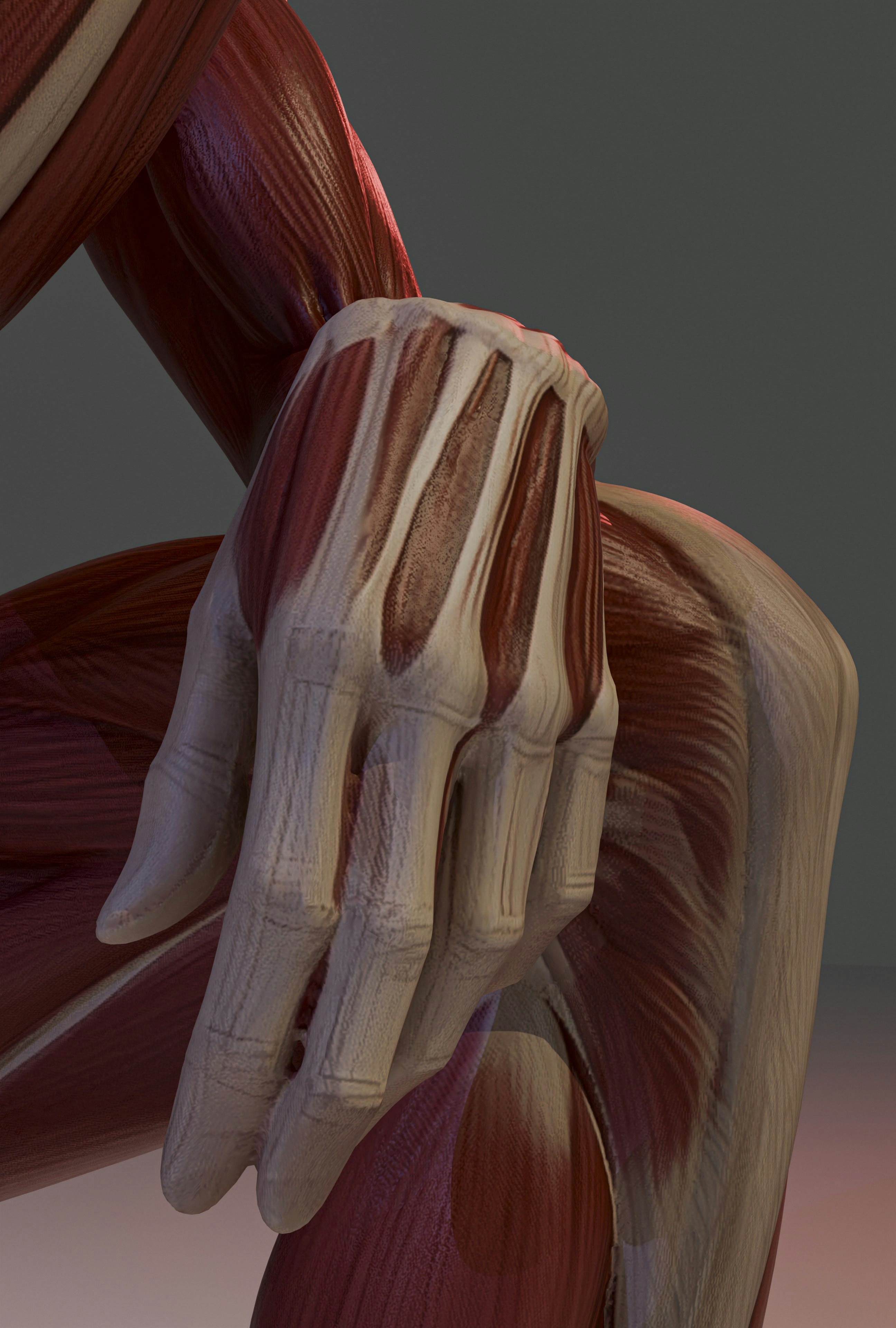 joint pain anatomy wallpaper, wallpaper, Obat Pengapuran Tulang: 9 Solusi Ampuh Redakan Nyeri Sendi 3