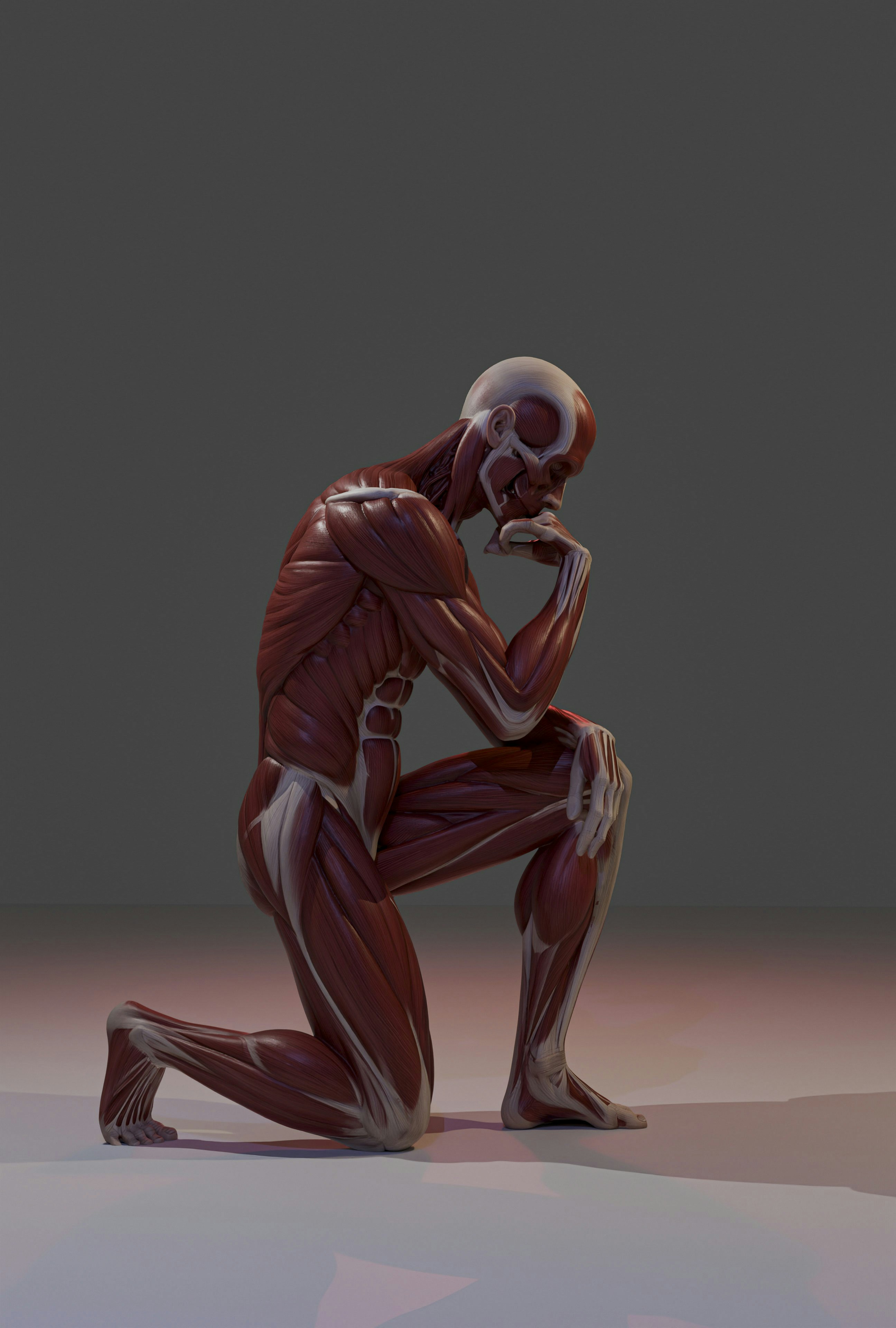 Human muscular and skeletal system in a kneeling, thinking pose