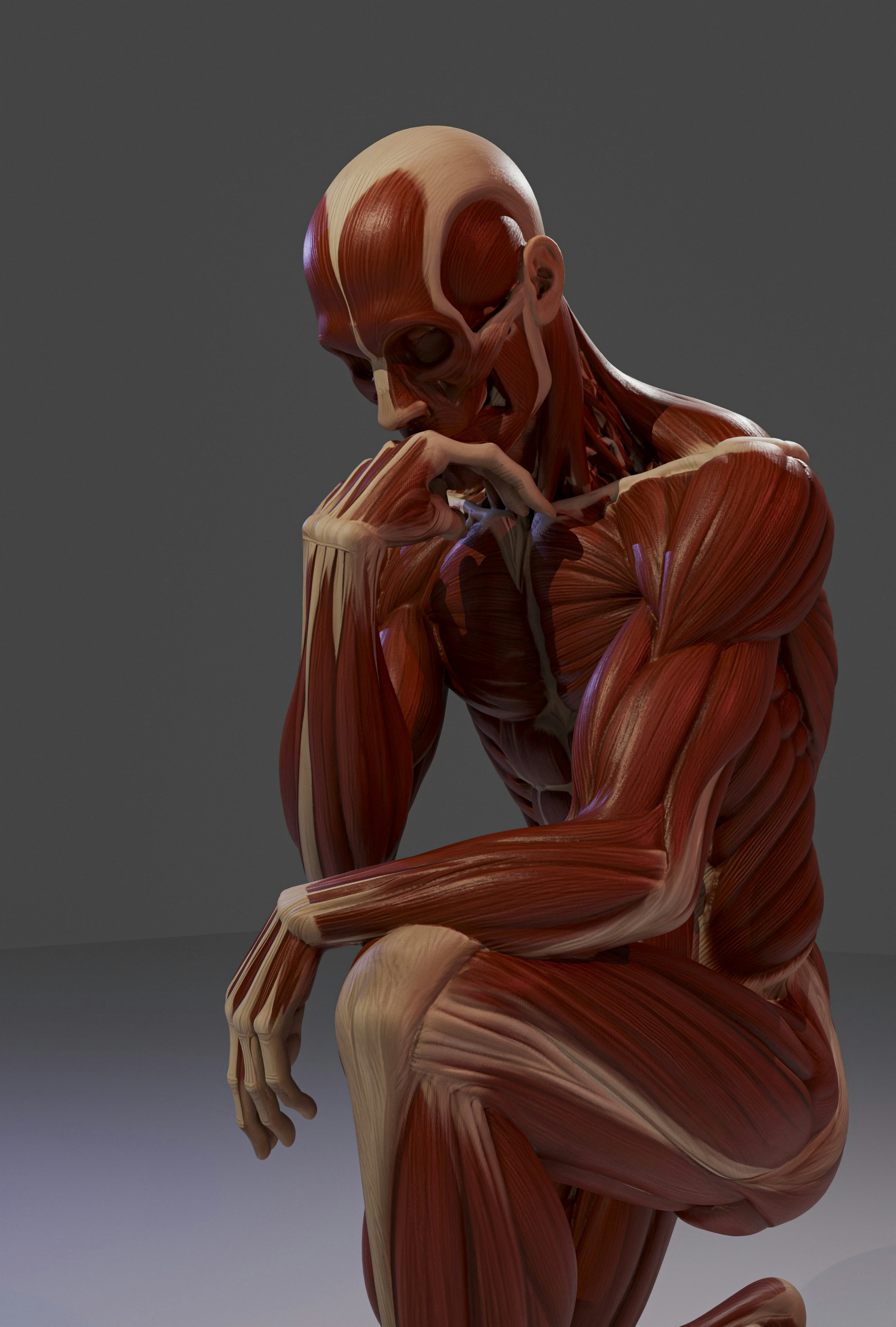 Figura anatômica musculosa em pose contemplativa