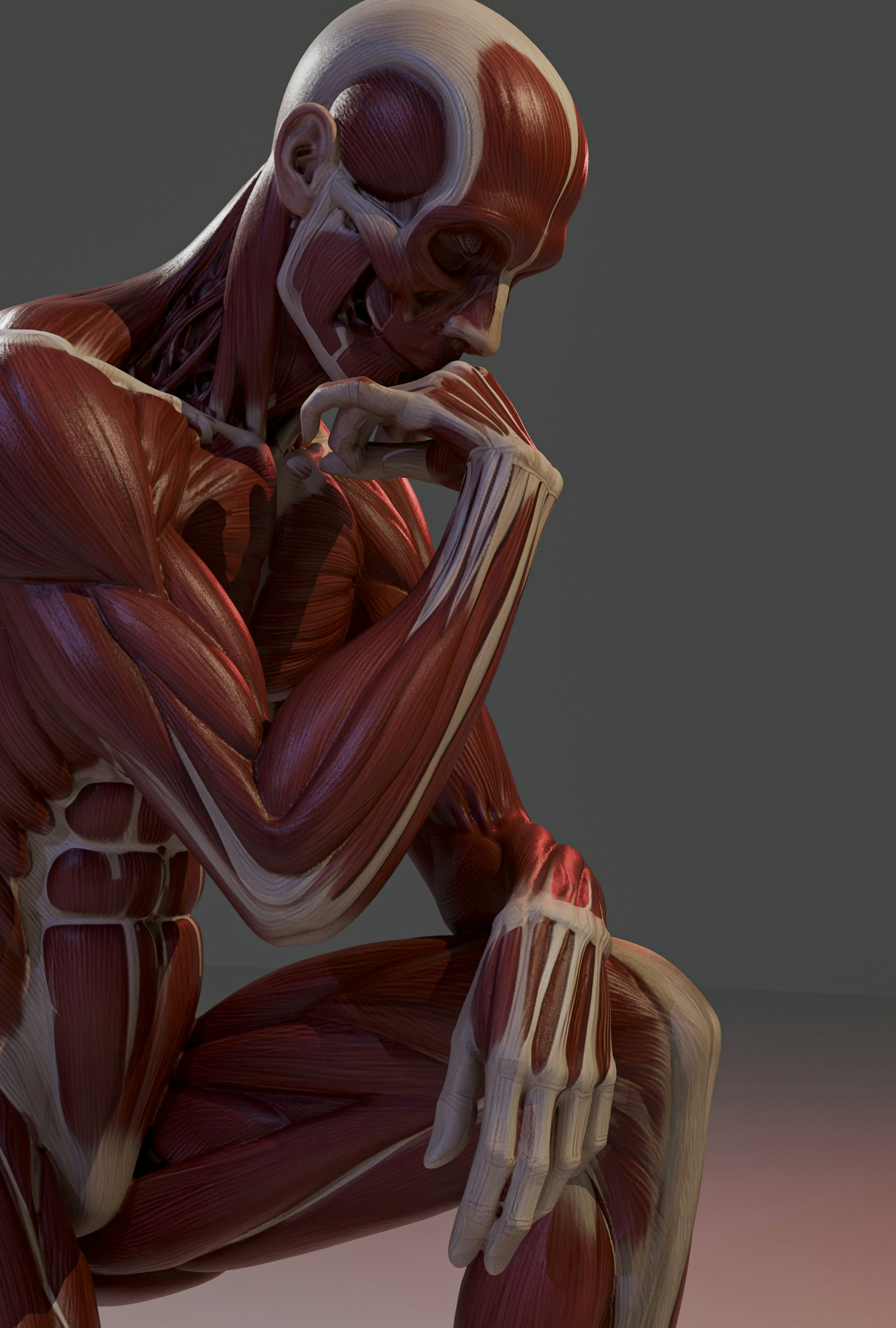 Sistema muscular humano em uma postura de pensamento