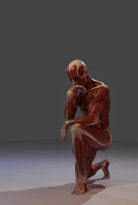 A human muscular system model kneeling in a thinking pose