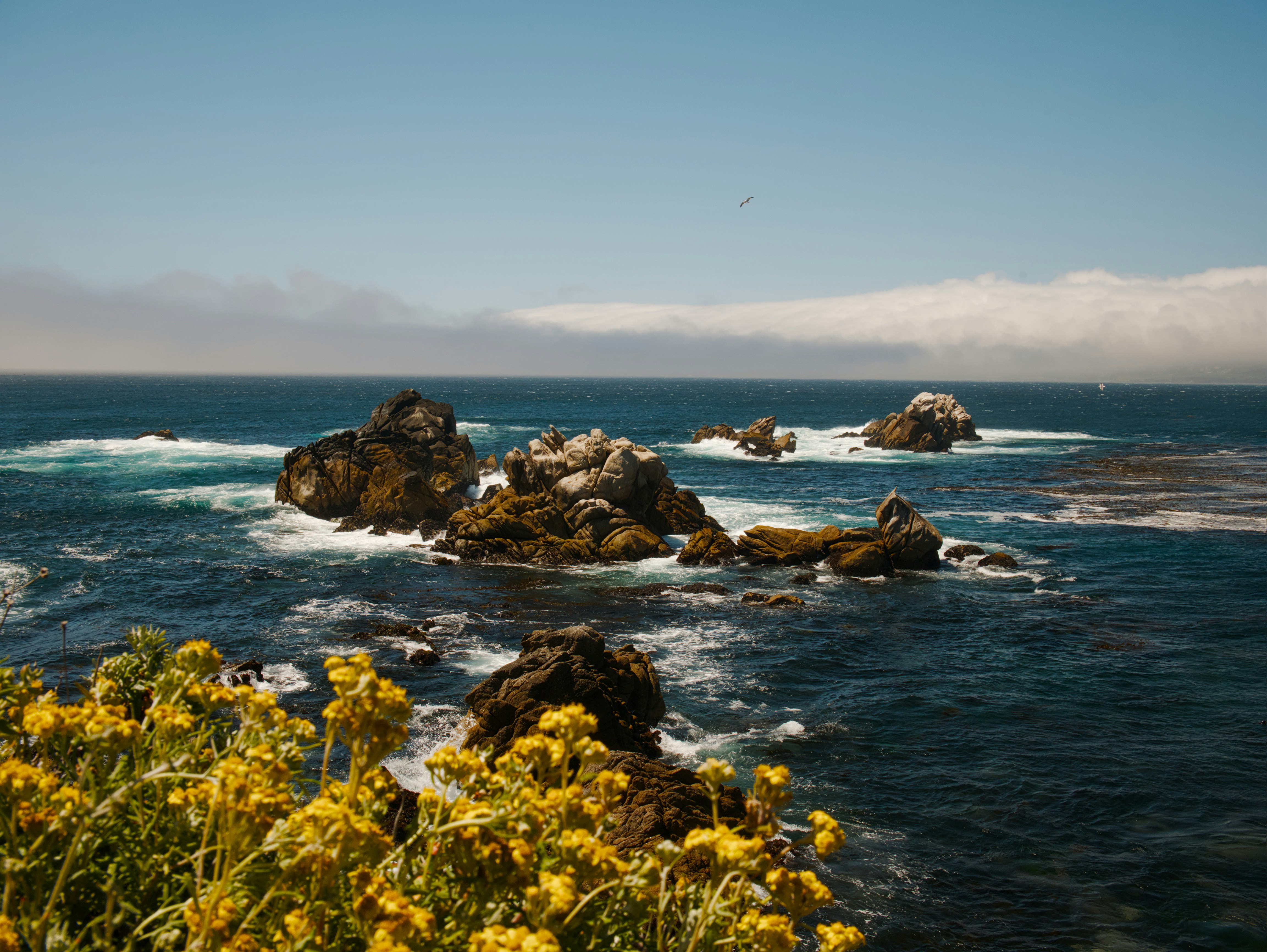 Stop Letting the Wellness Calendar Tell You What Season It Is: A Big Sur Guide to Healing in Real Time