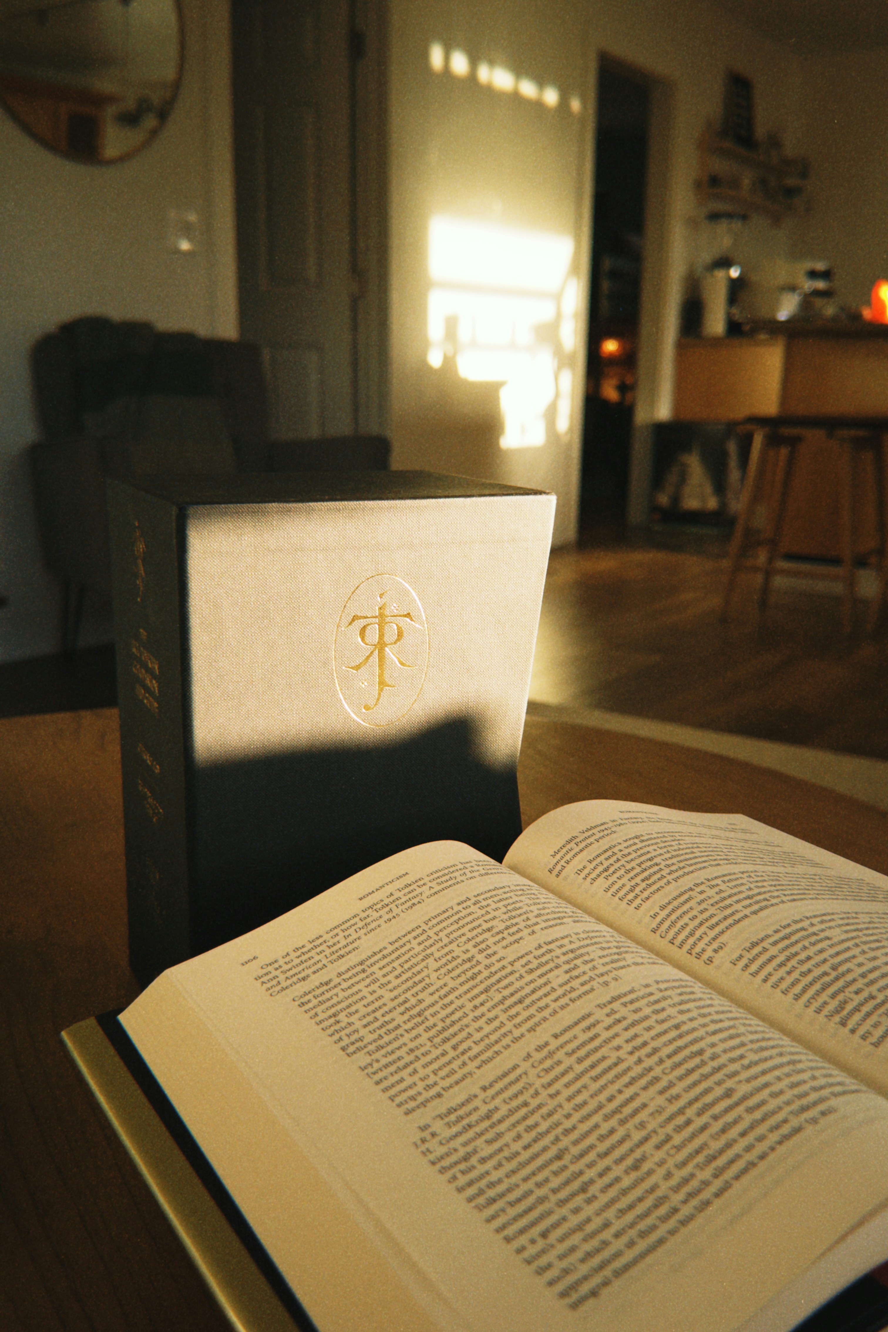 Sunlight illuminates an open book and a standing book indoors.