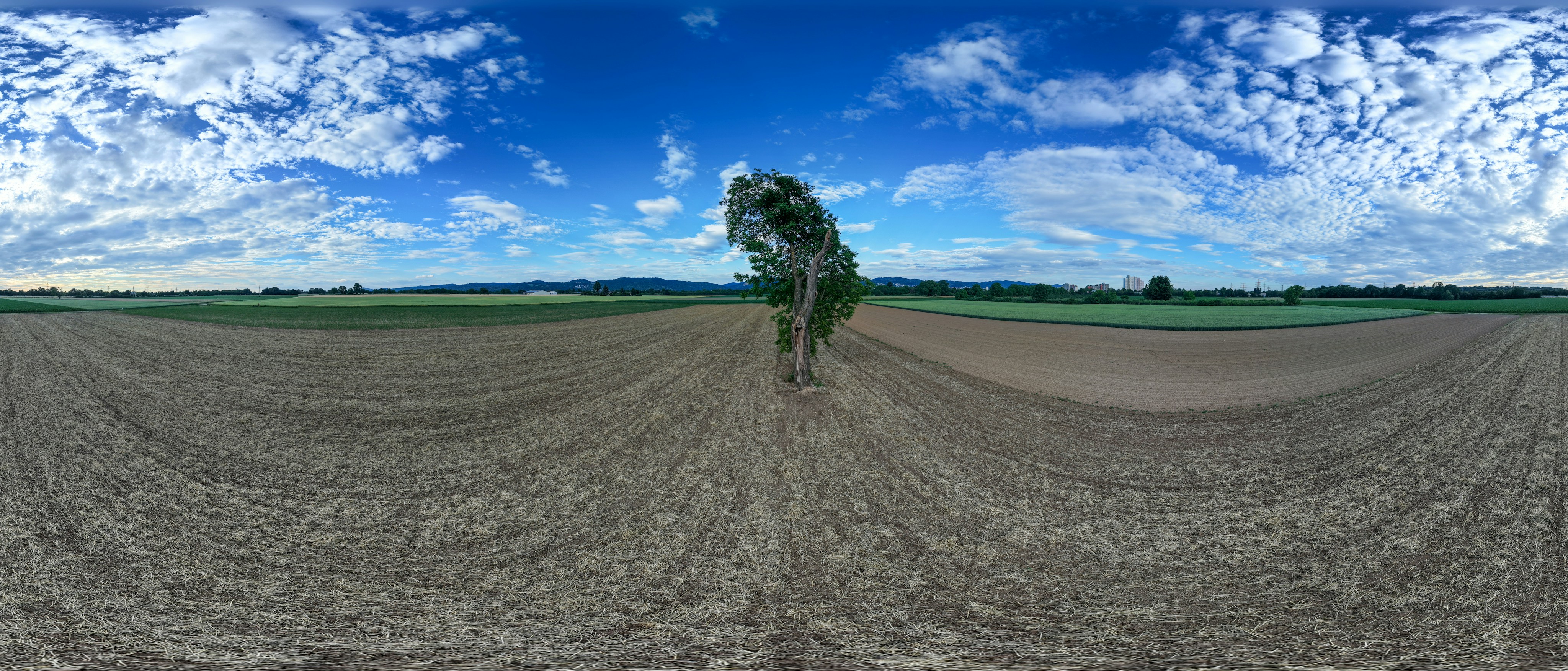 Photo by hdbernd