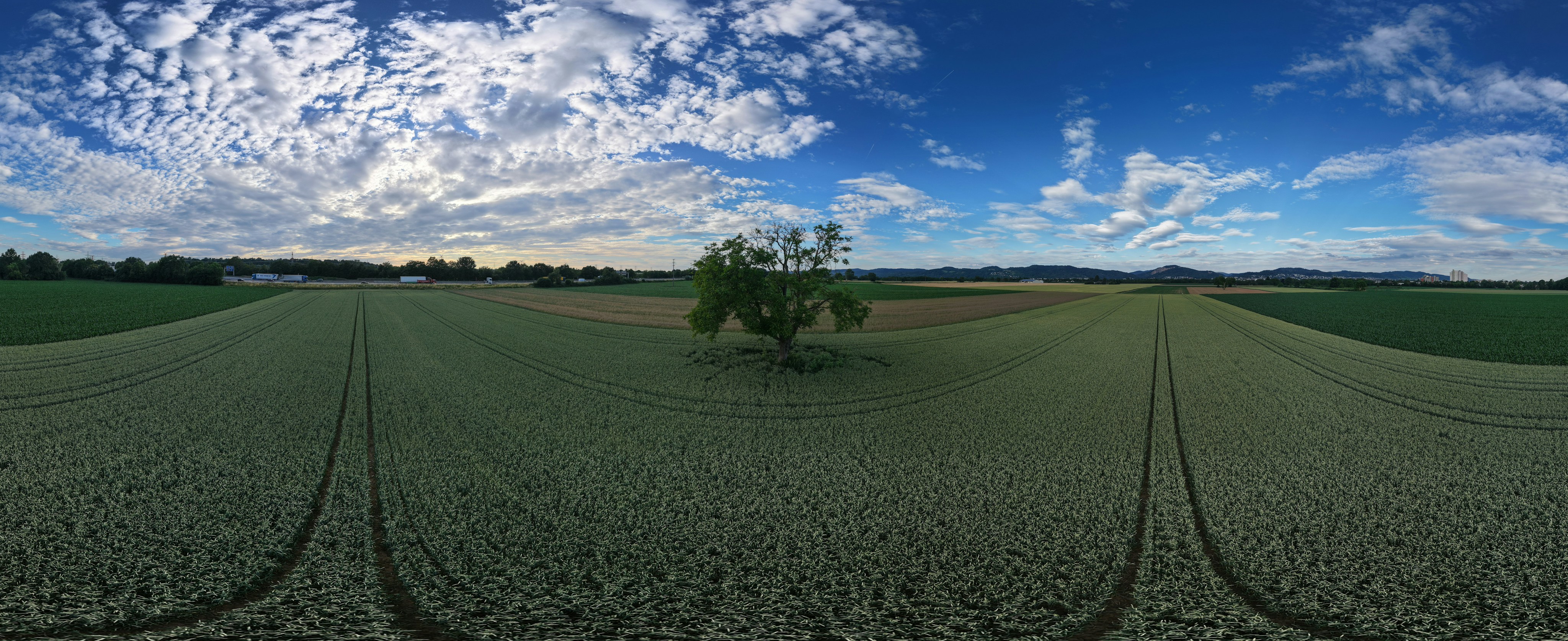 Photo by hdbernd