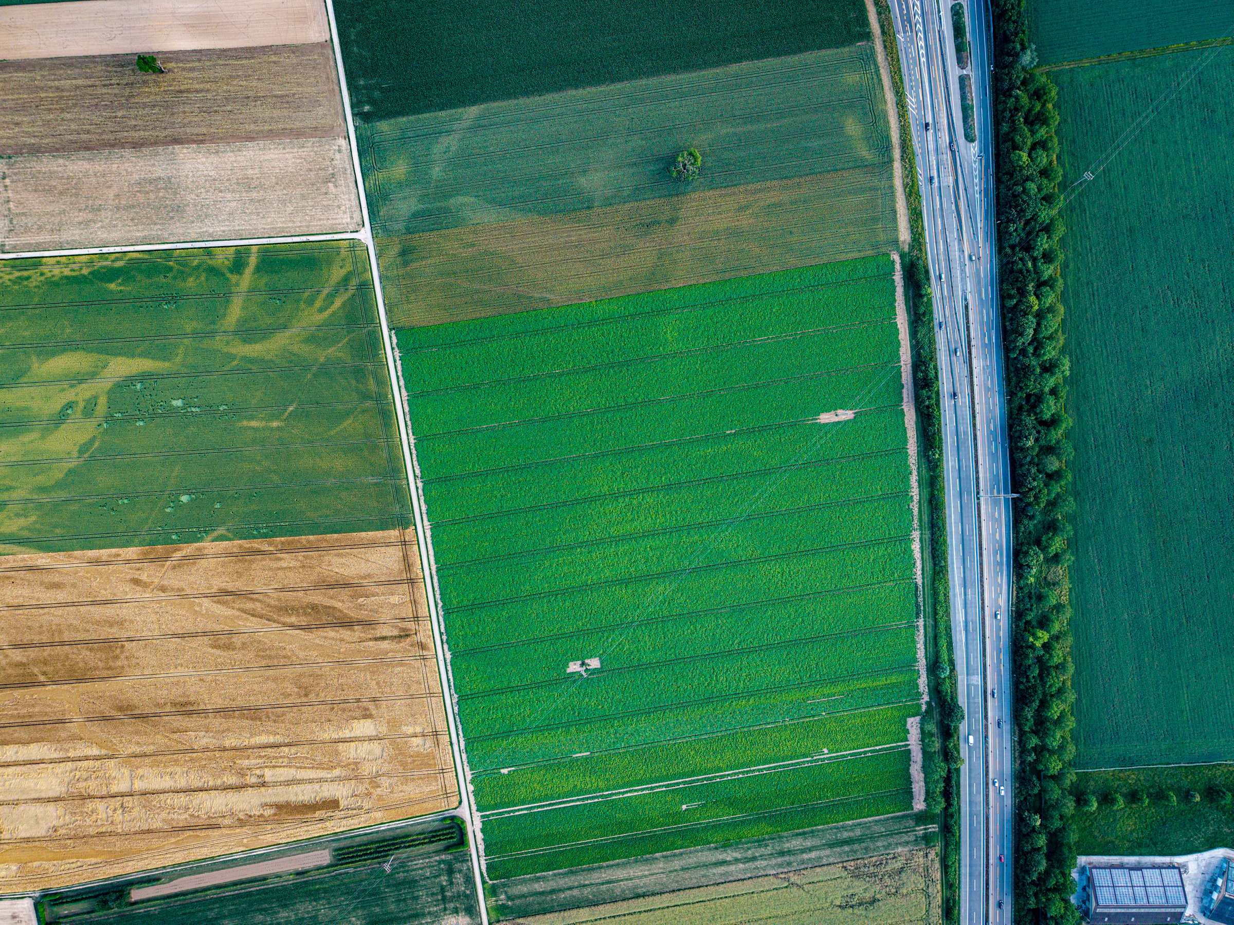 Aerial view of farmland parcels