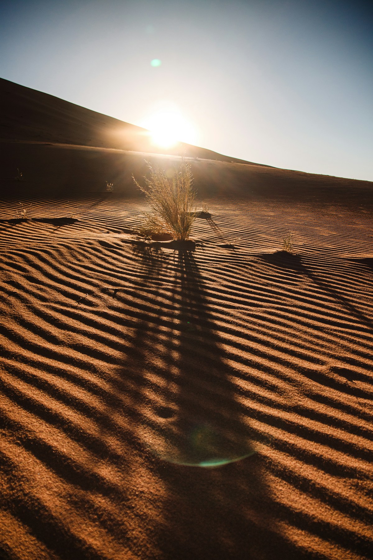 Pôr do sol dourado sobre dunas de areia do deserto — luz quente banhando a paisagem árida como ouro líquido