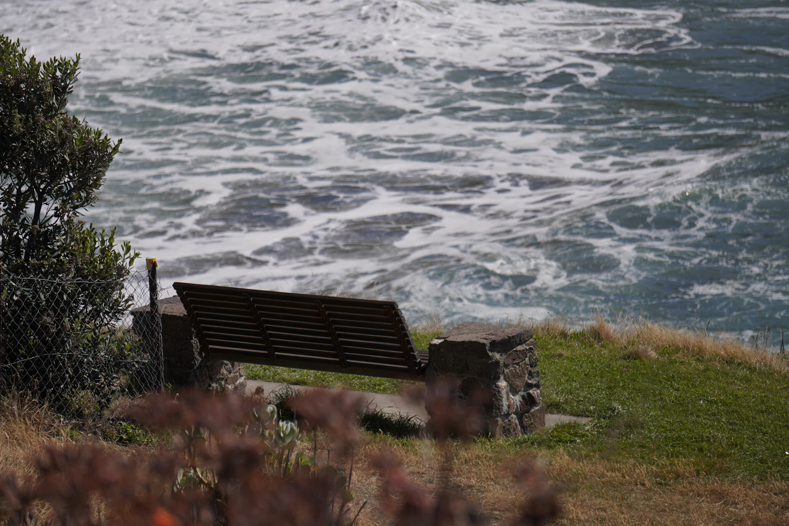 Cuvier Park