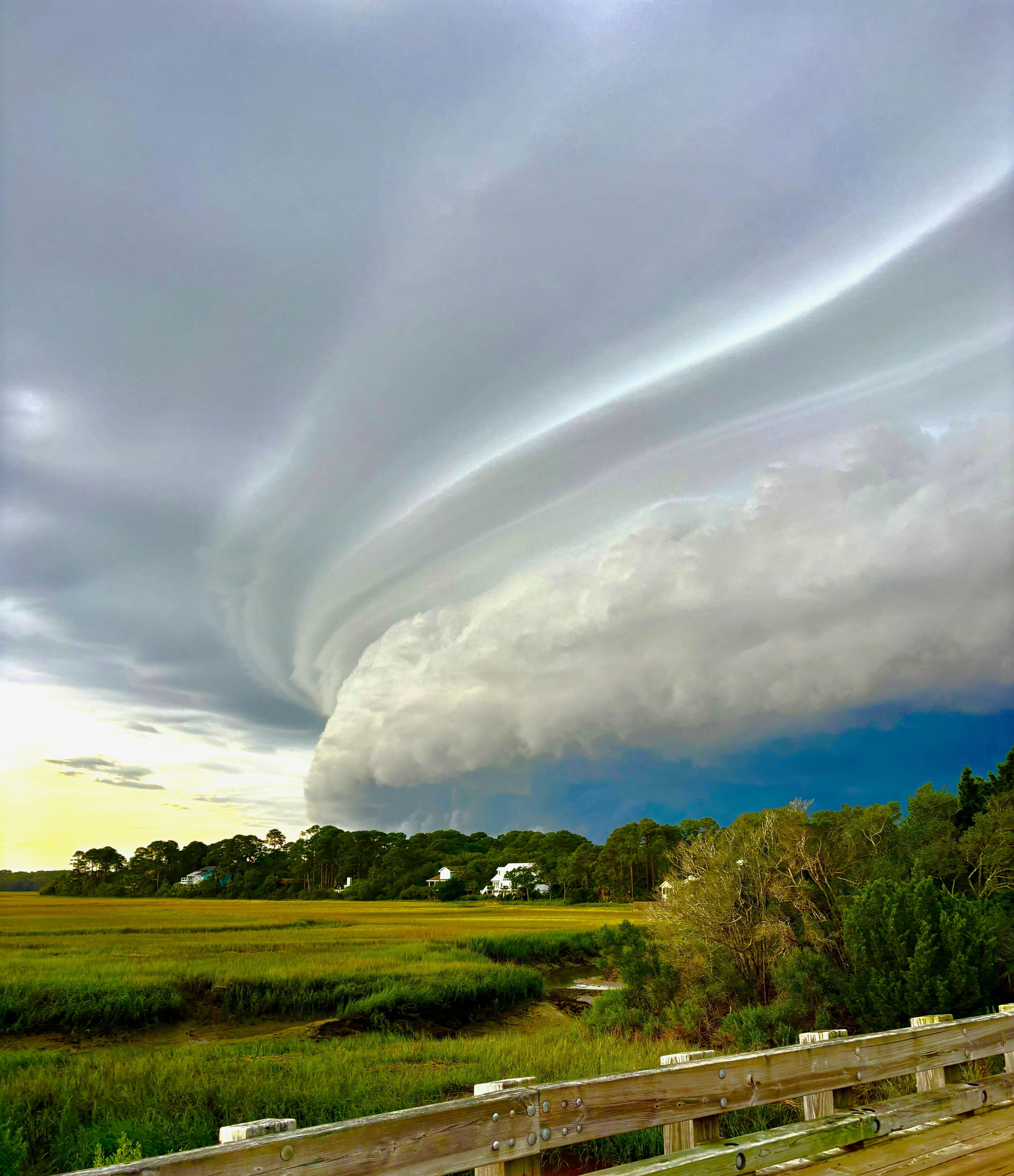 A dramatic shelf cloud looms over a green marsh landscape