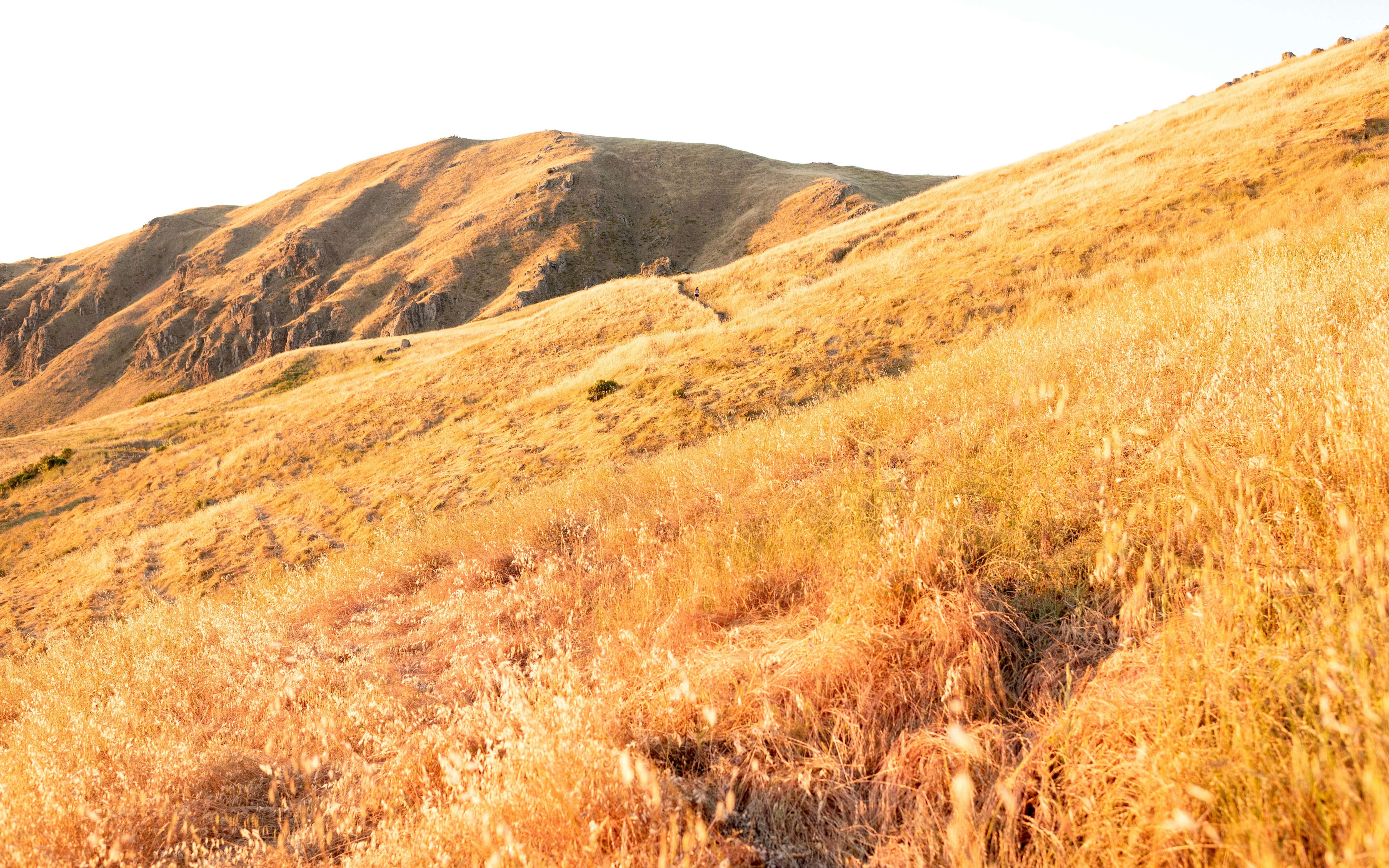 Golden hills covered in dry grass under a bright sky.