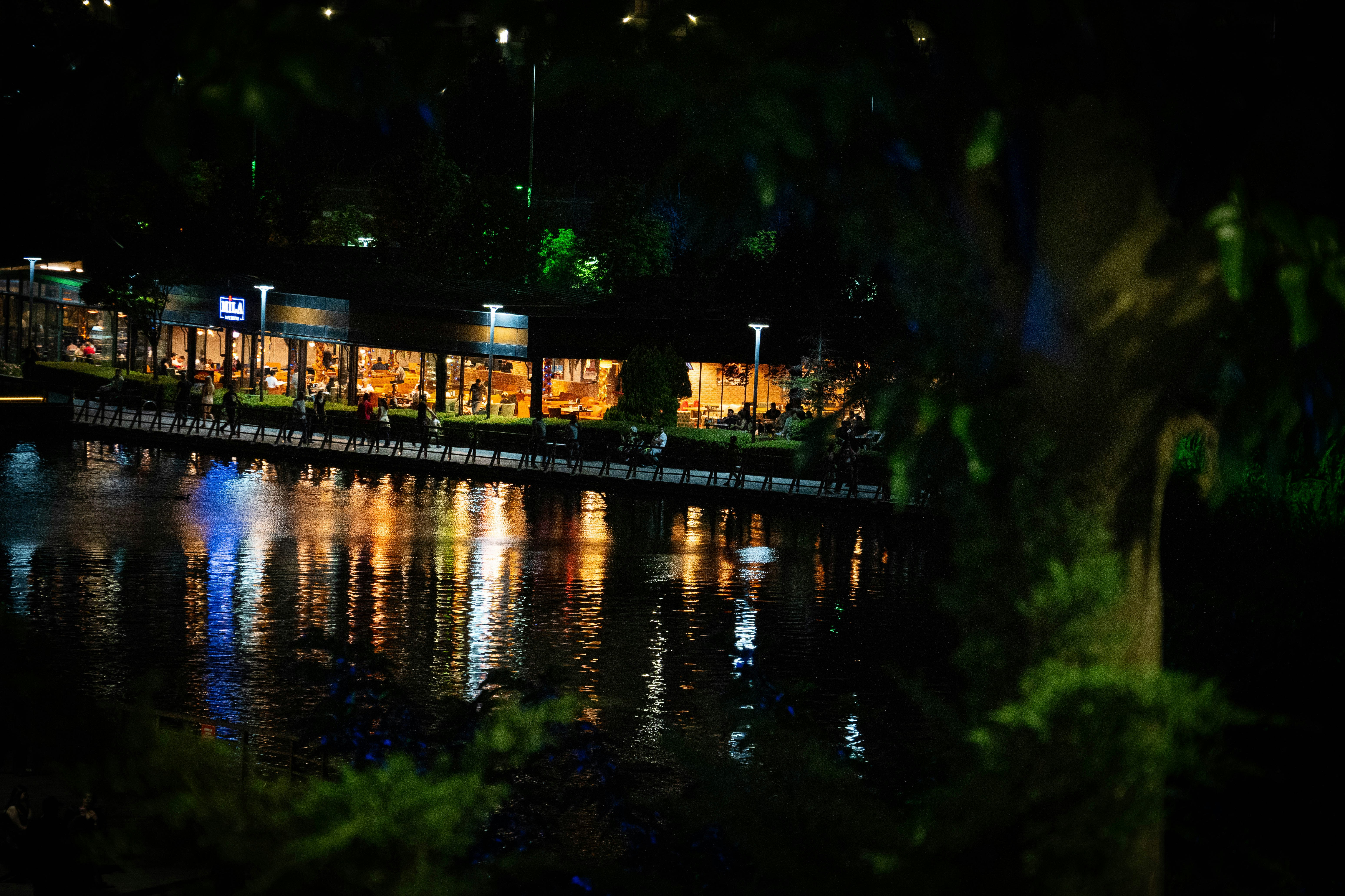 Lights reflecting on water among trees