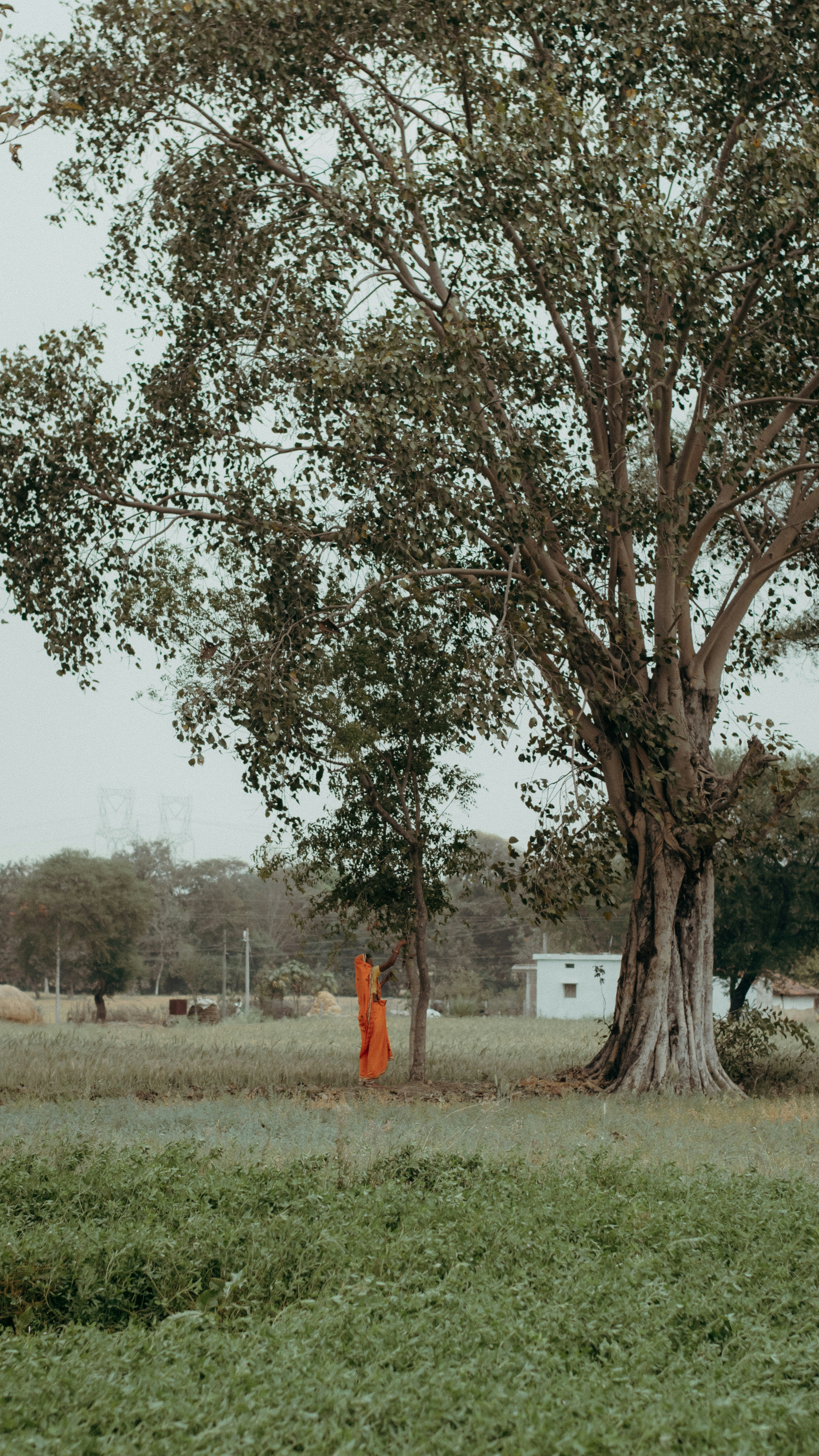 Photo by nageshwerlovlesh