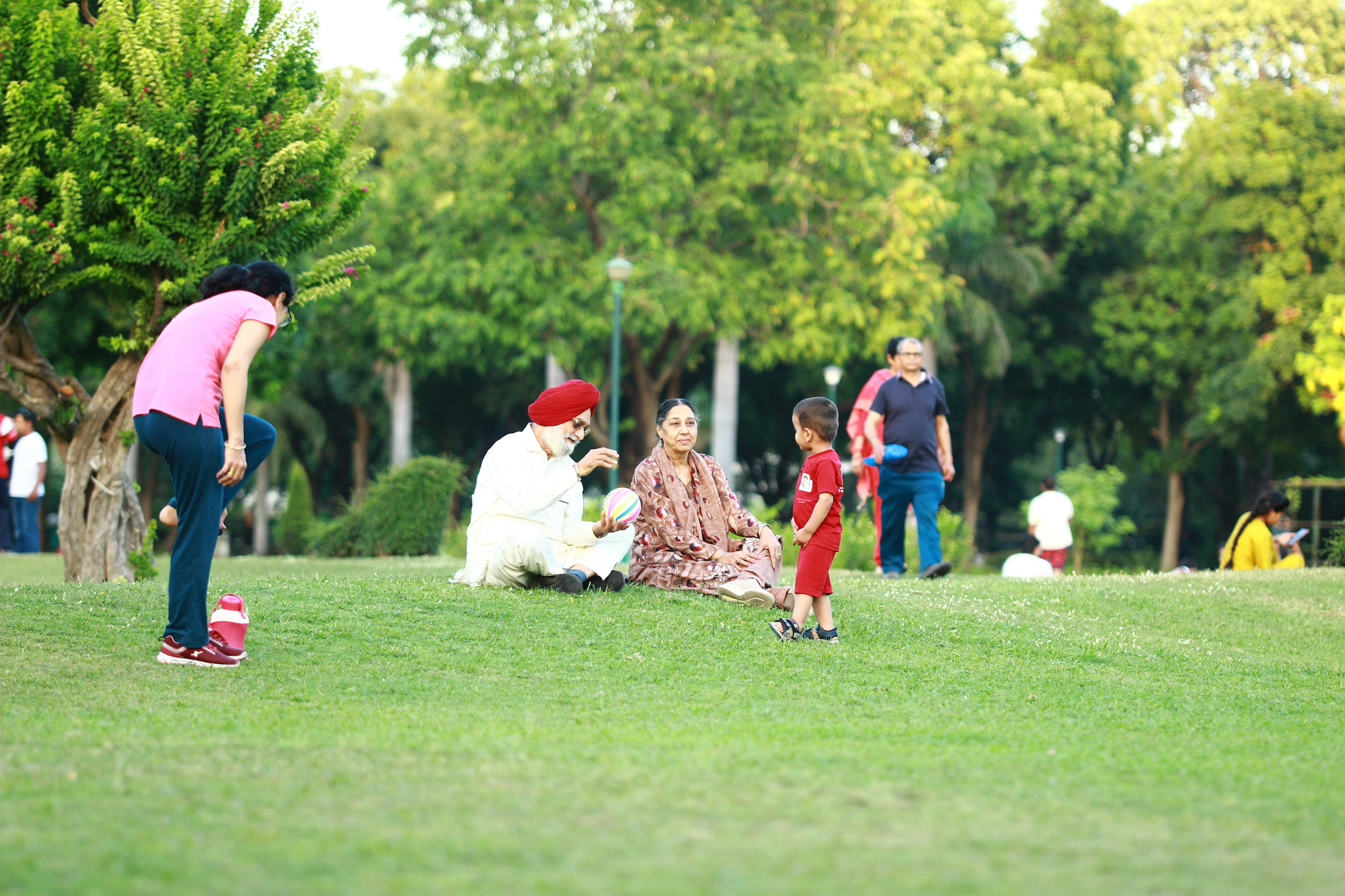 A family relaxes and plays in a green park.