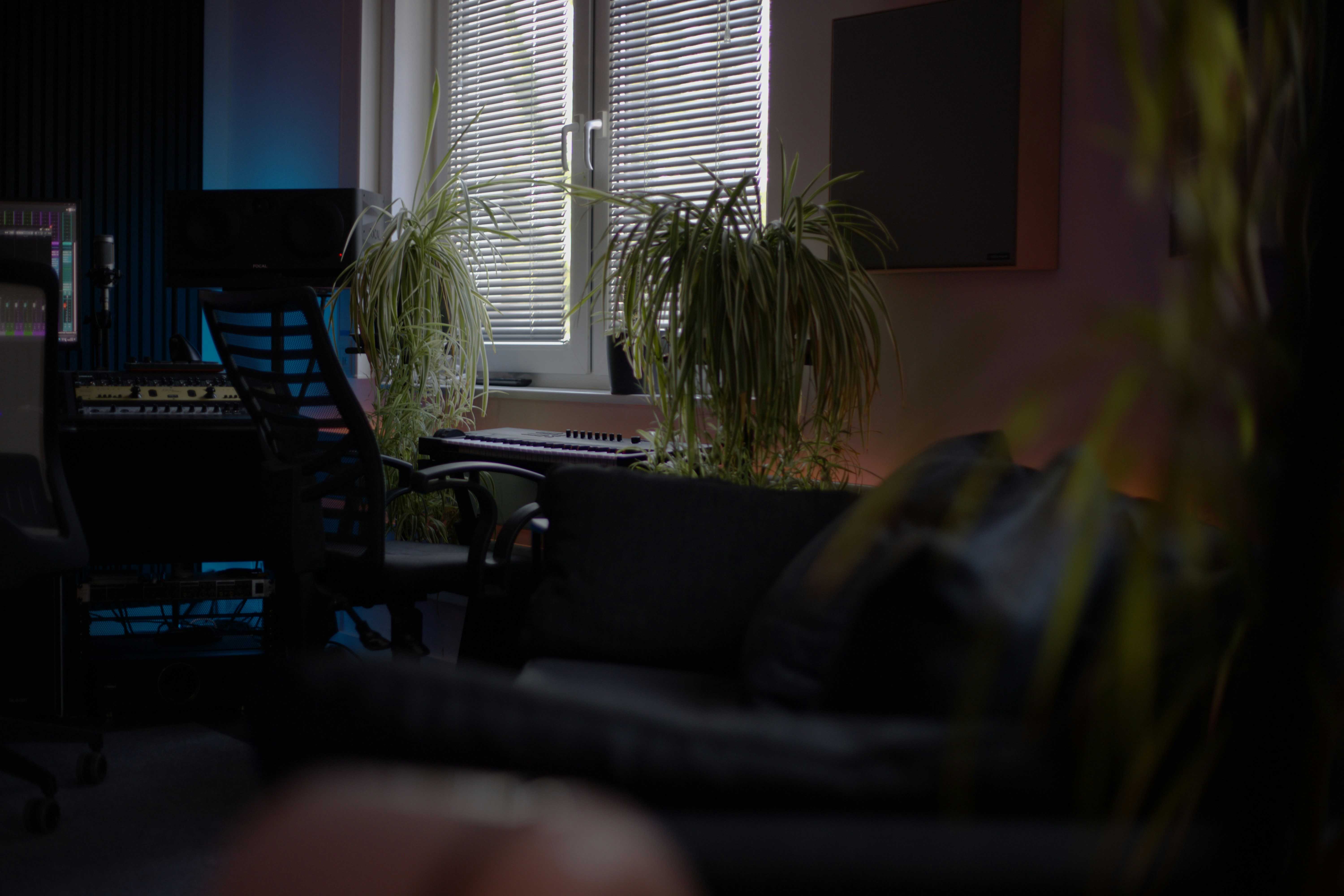 Cozy room with houseplants, a desk, and a sofa.