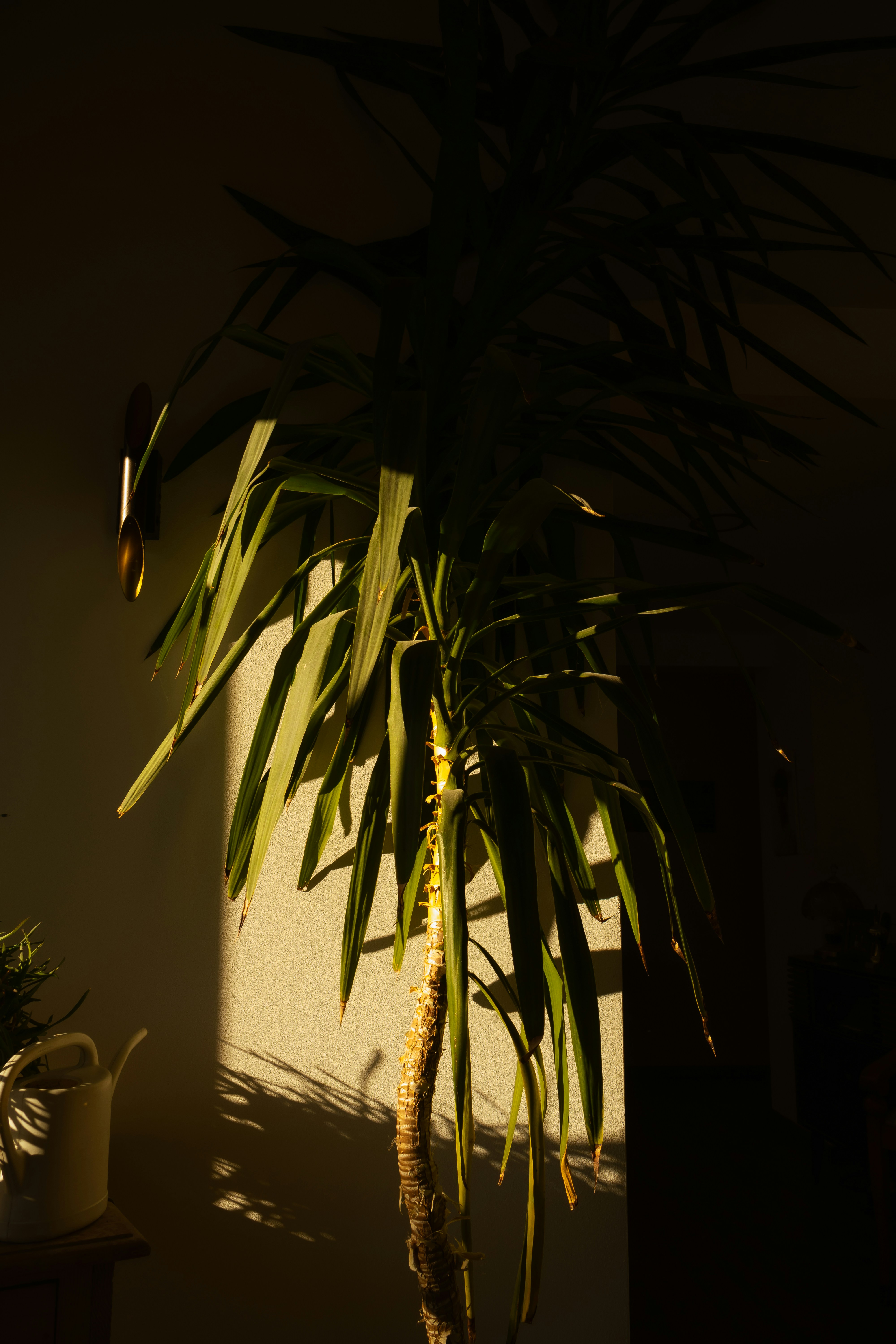 Photo by yunghollows
