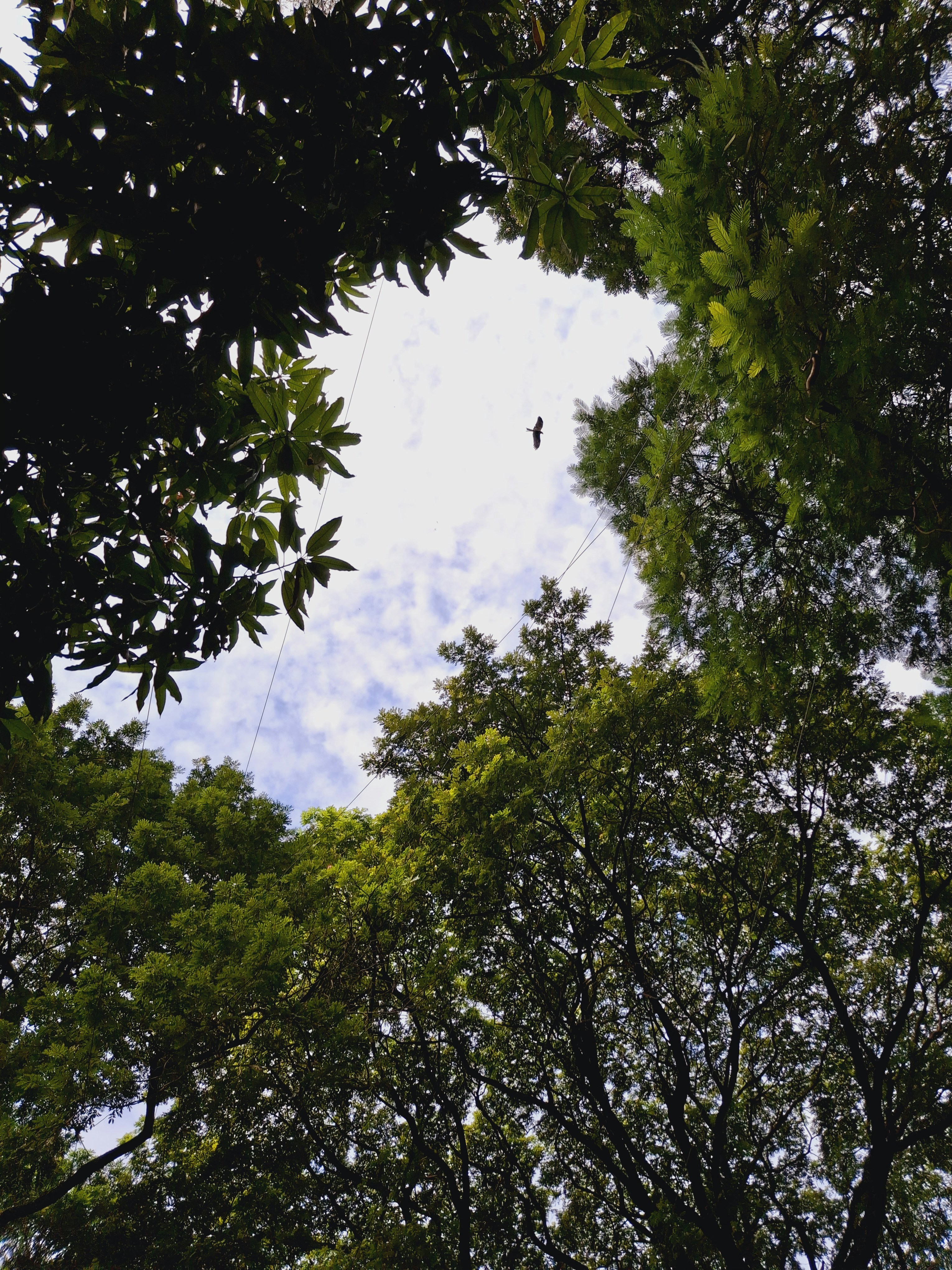 Photo by aniketvisuals