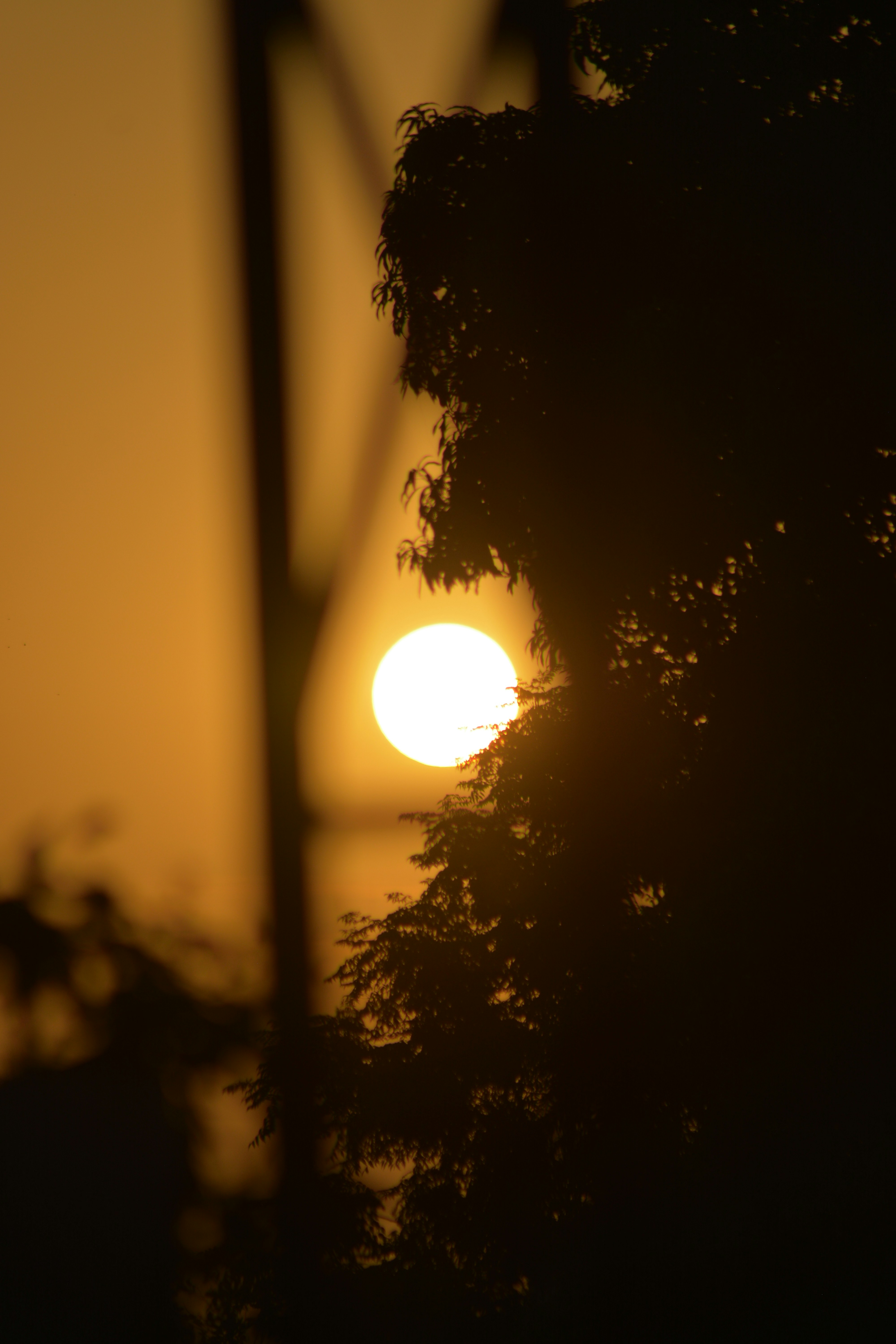 Photo by karamdeepsingh_2000