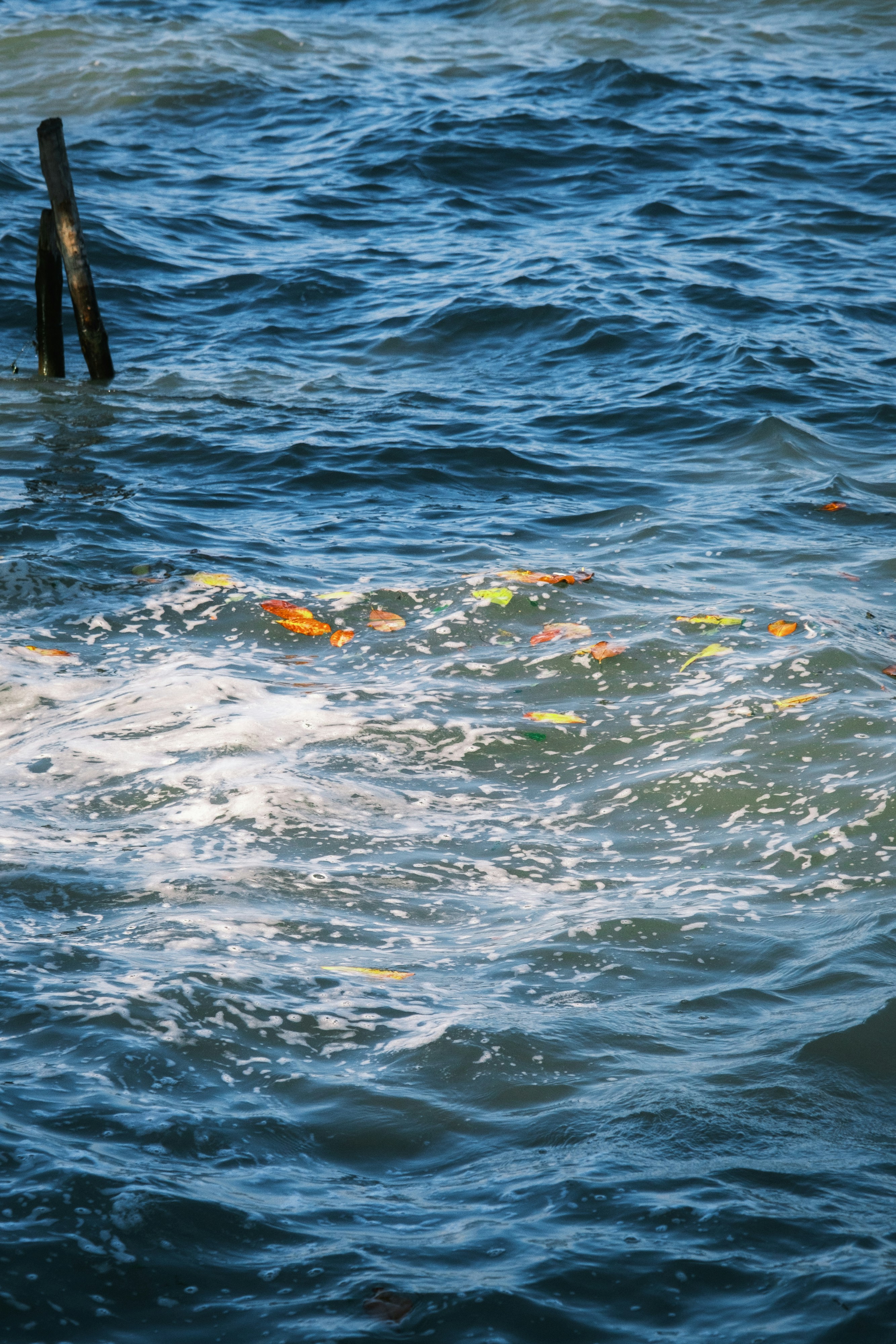 Air laut biru dengan puing-puing mengambang dan tiang kayu.