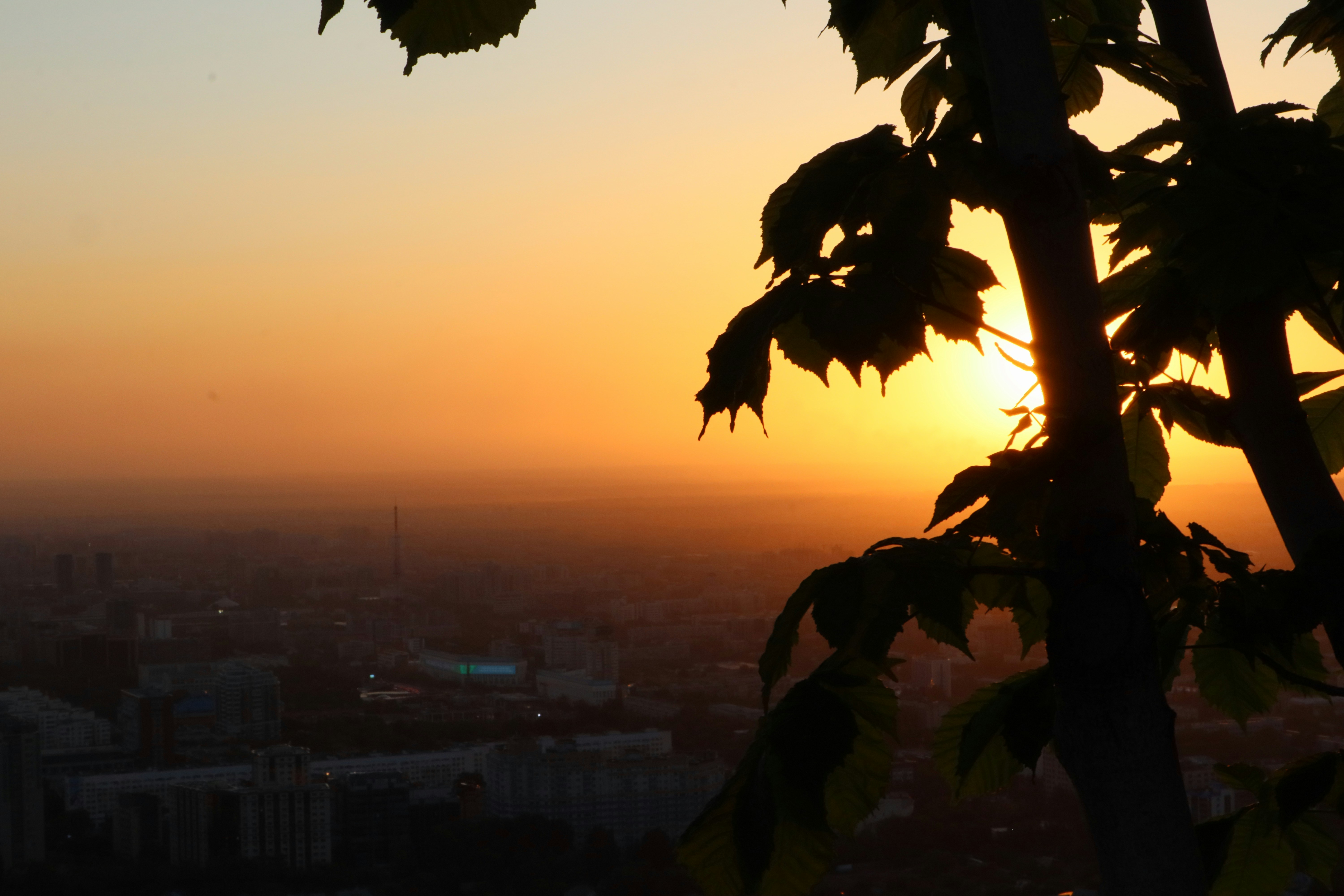 Photo by konevi