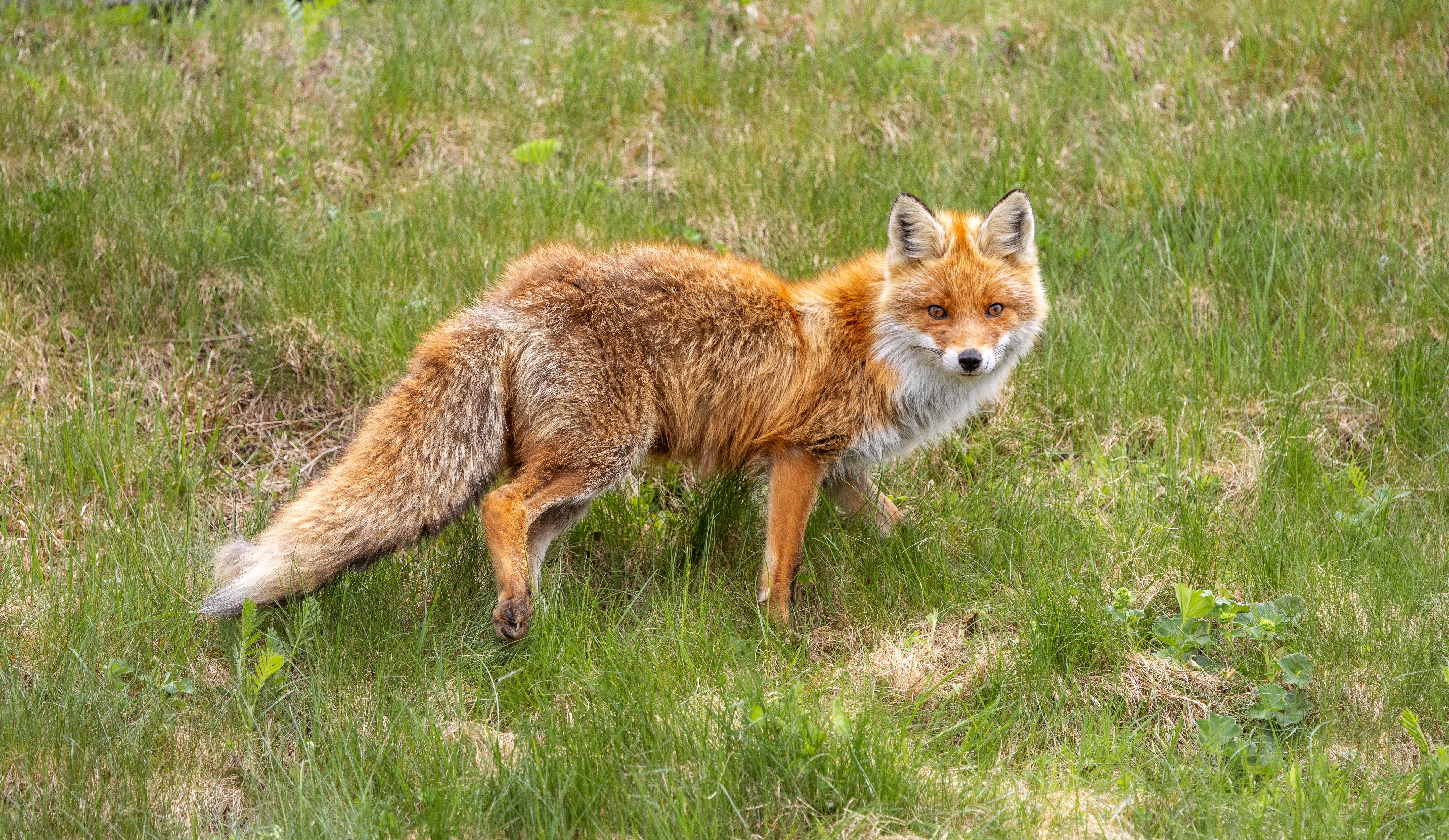 Photo by marekpiwnicki