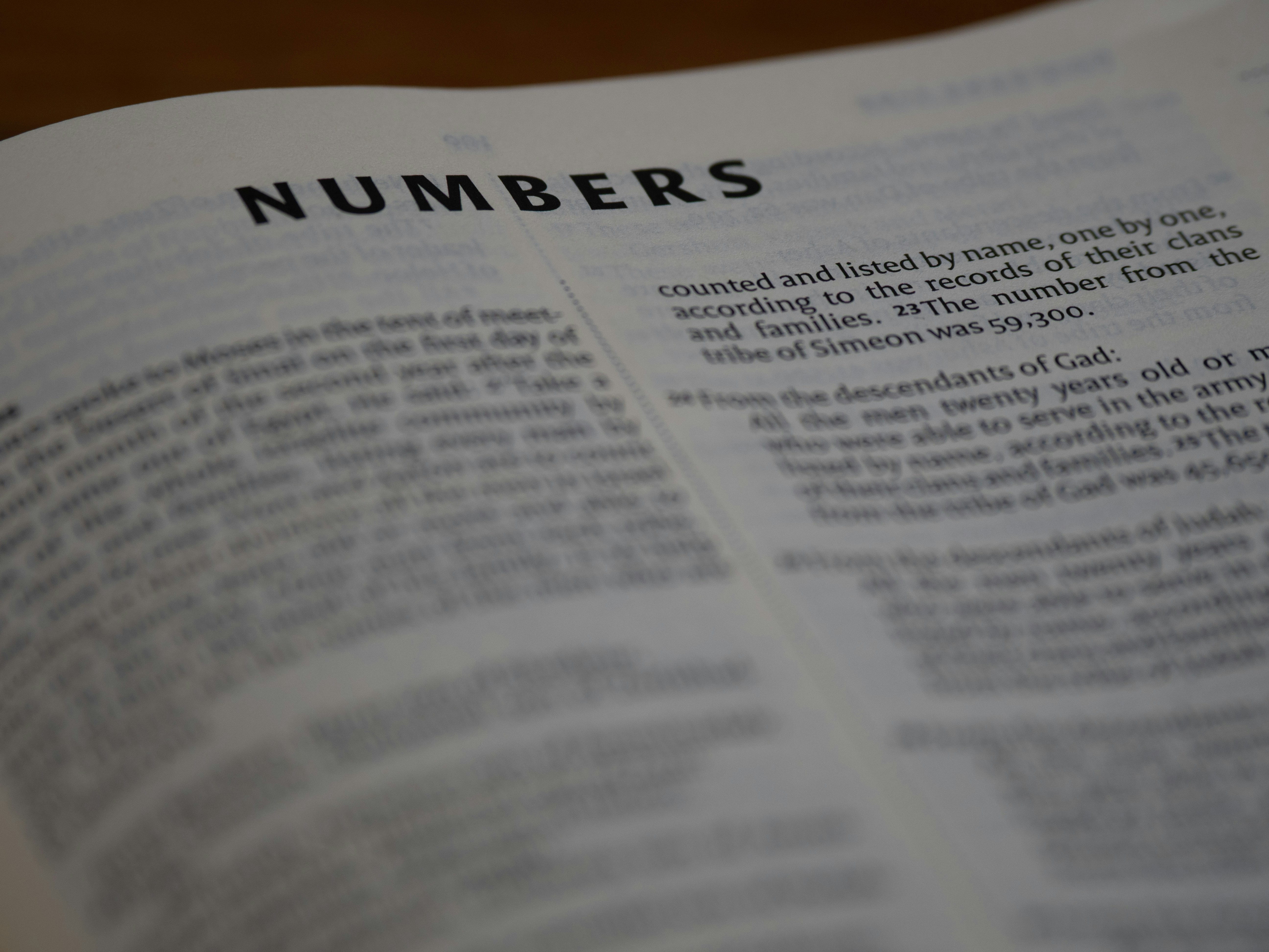 census pages closeup