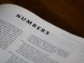 Open book displaying the chapter title "numbers".
