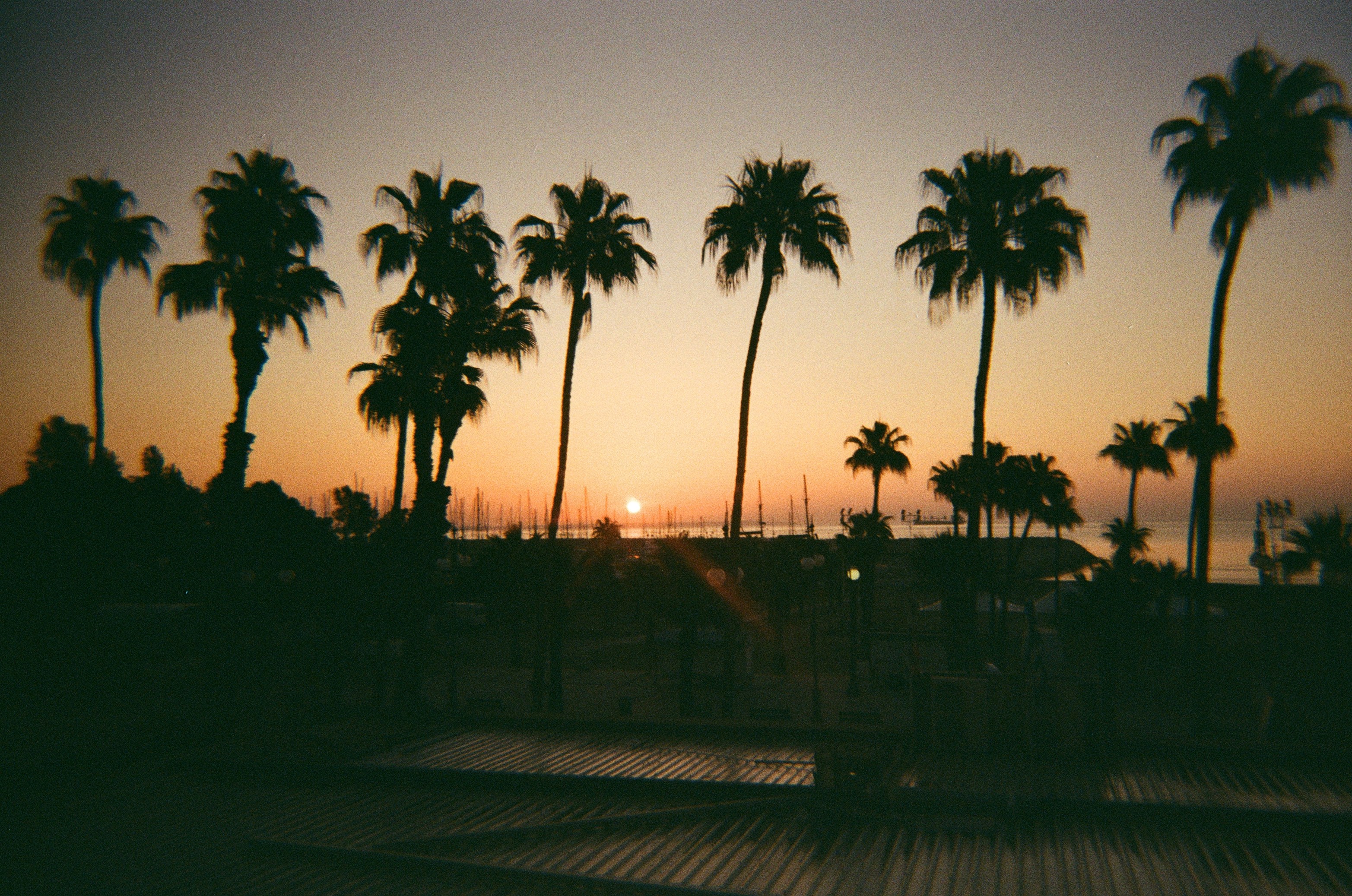 Nightlife Guide to Palmas (2026)