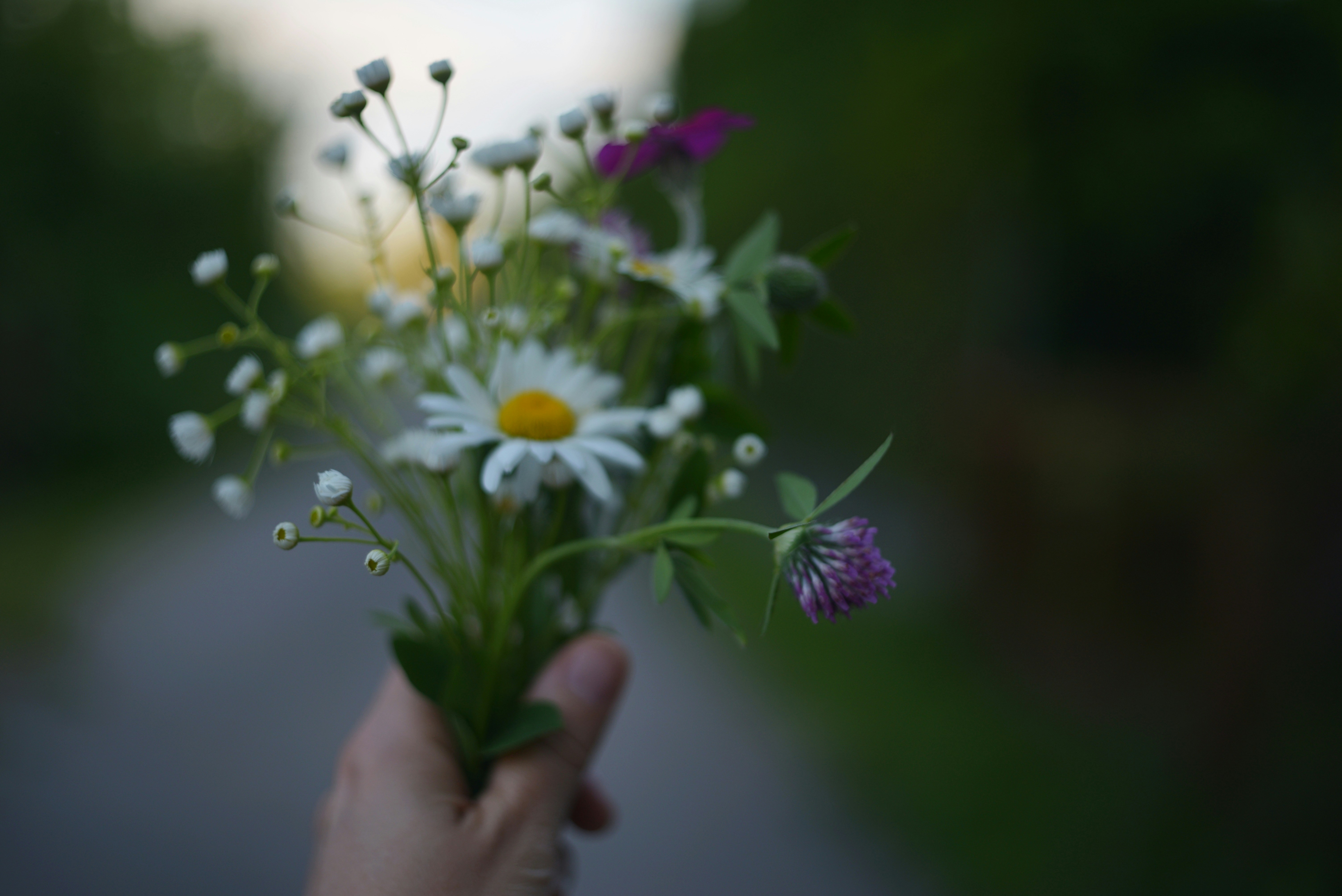 Photo by cherstve_pechivo