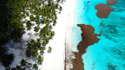 Vista aérea de una playa caribeña con hoteles frente al mar