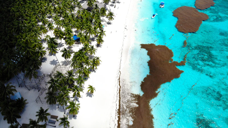 Vista aérea de una playa caribeña con hoteles frente al mar