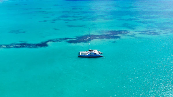 Luxury white catamaran floating on clear turquoise water in Zanzibar