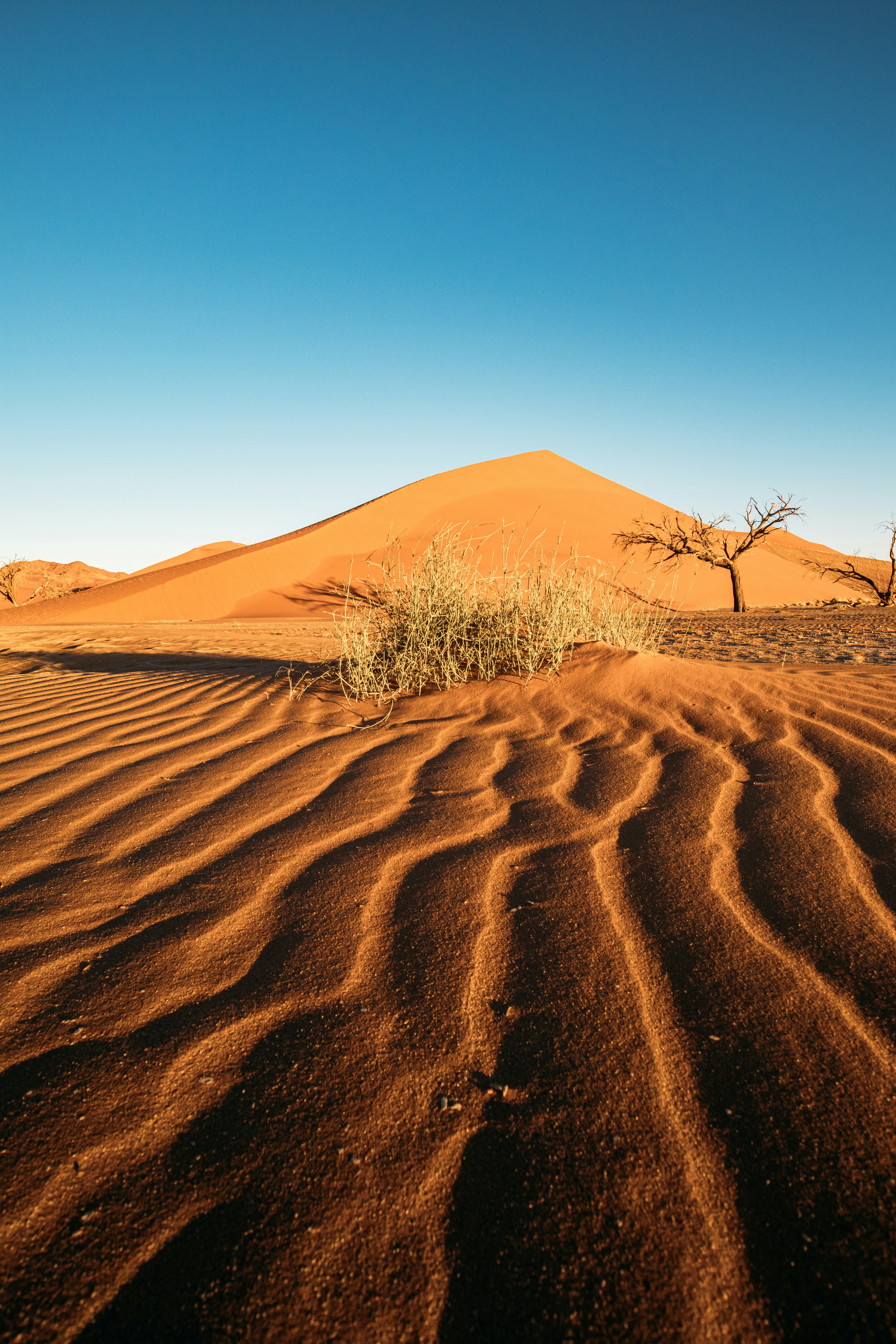 Golden desert dunes with ripples under a clear blue sky.