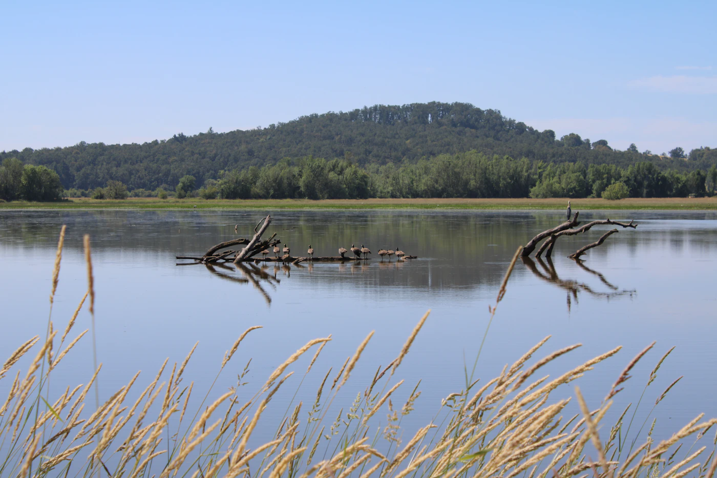 Lac du Salagou
