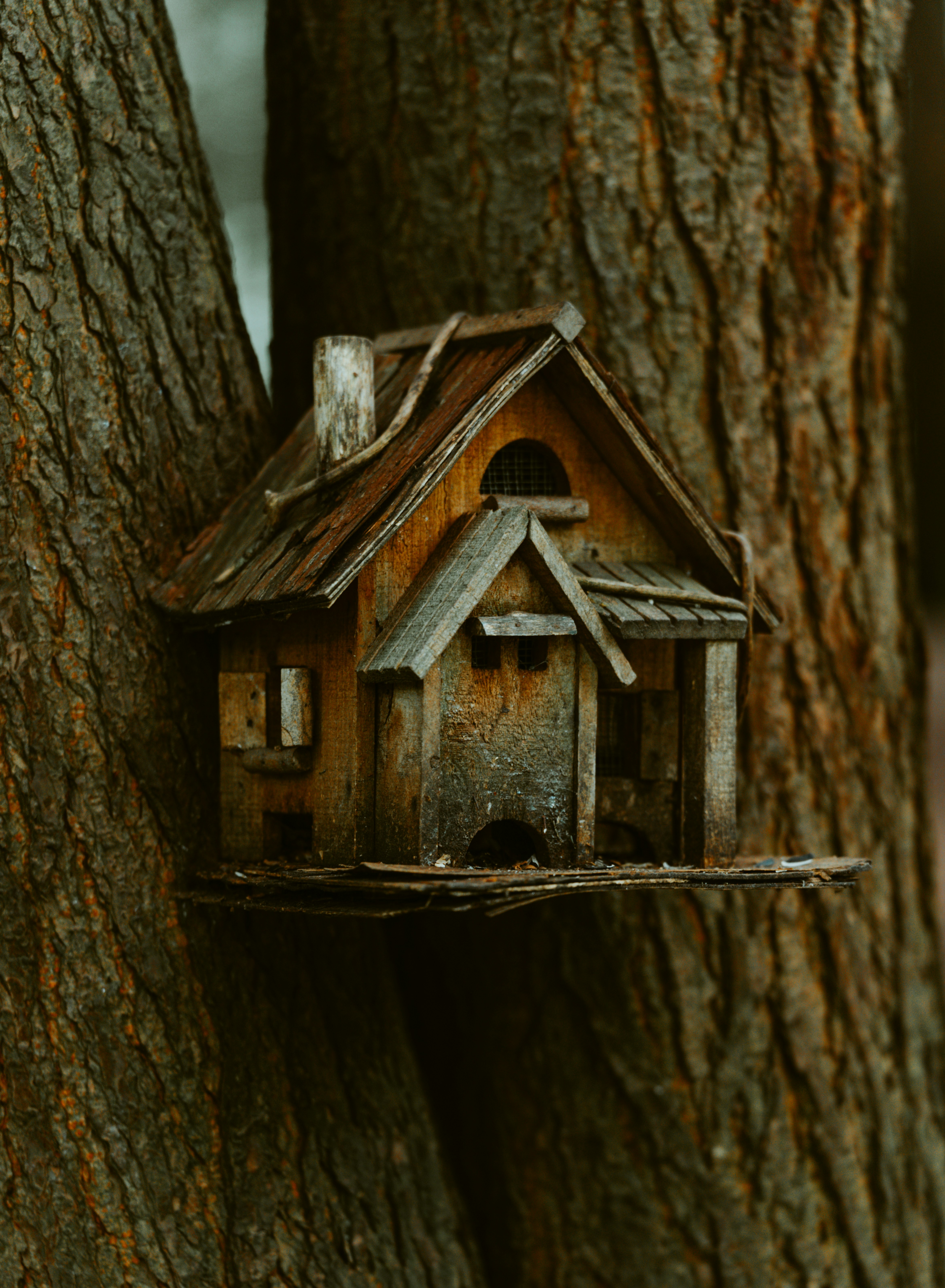 Rustic wooden birdhouse attached to a tree trunk.