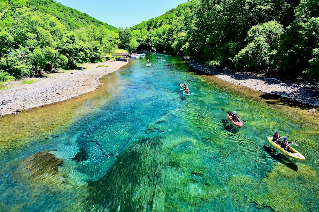 Rio de águas cristalinas cercado de vegetação natural, típico de Bonito