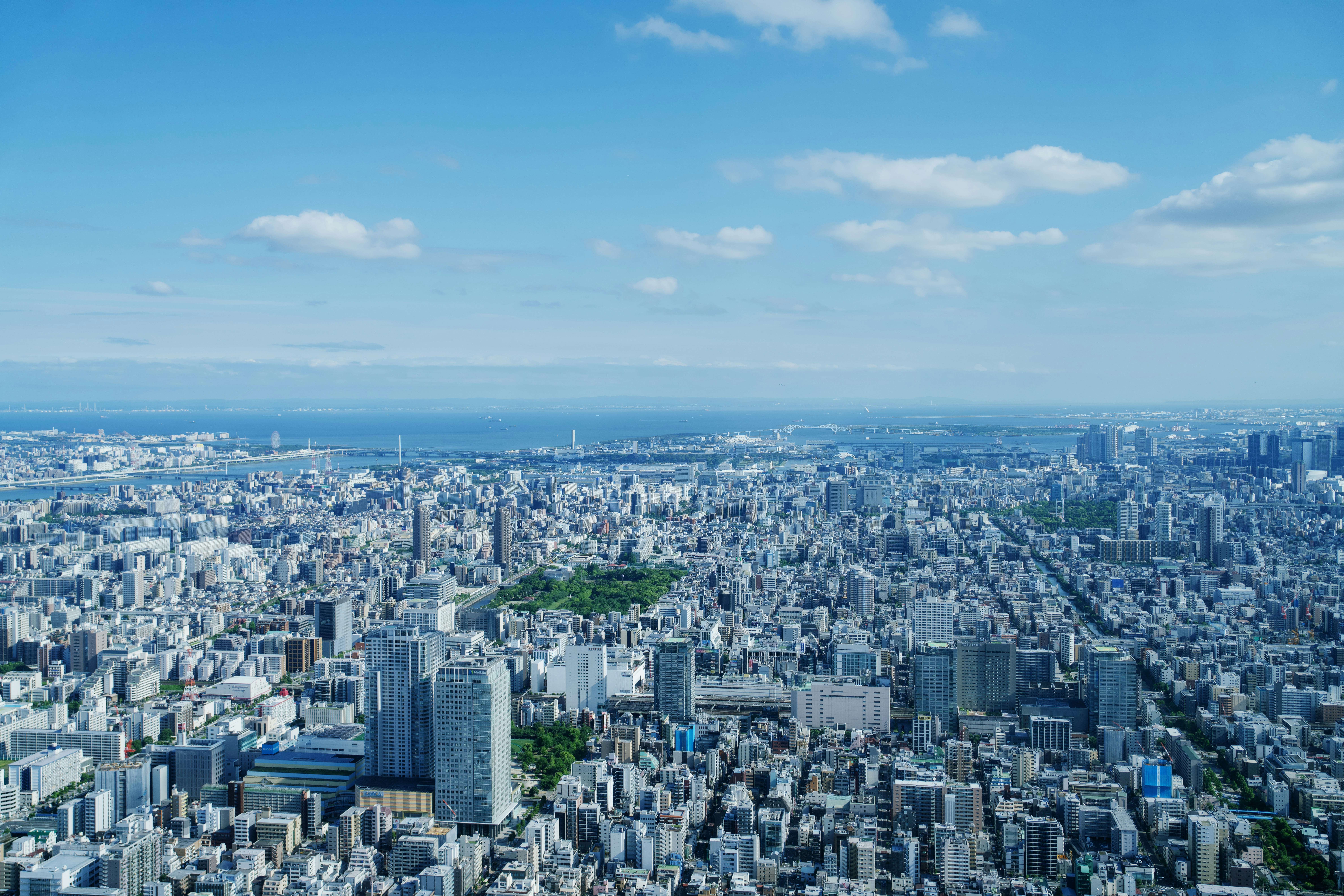 Aerial cityscape view with park and distant ocean.