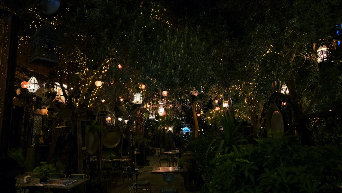The Garden