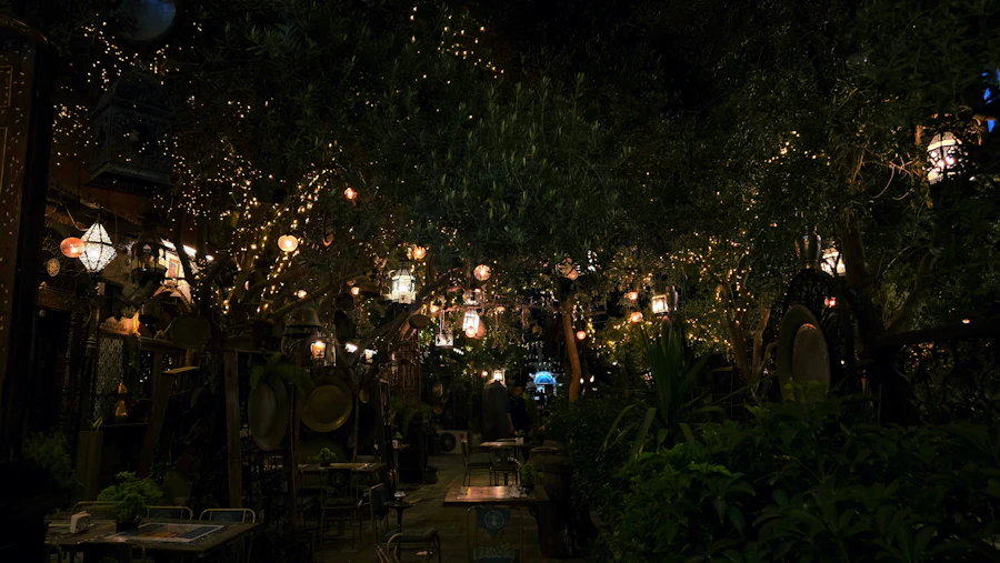 The garden lit by hanging lanterns in the evening