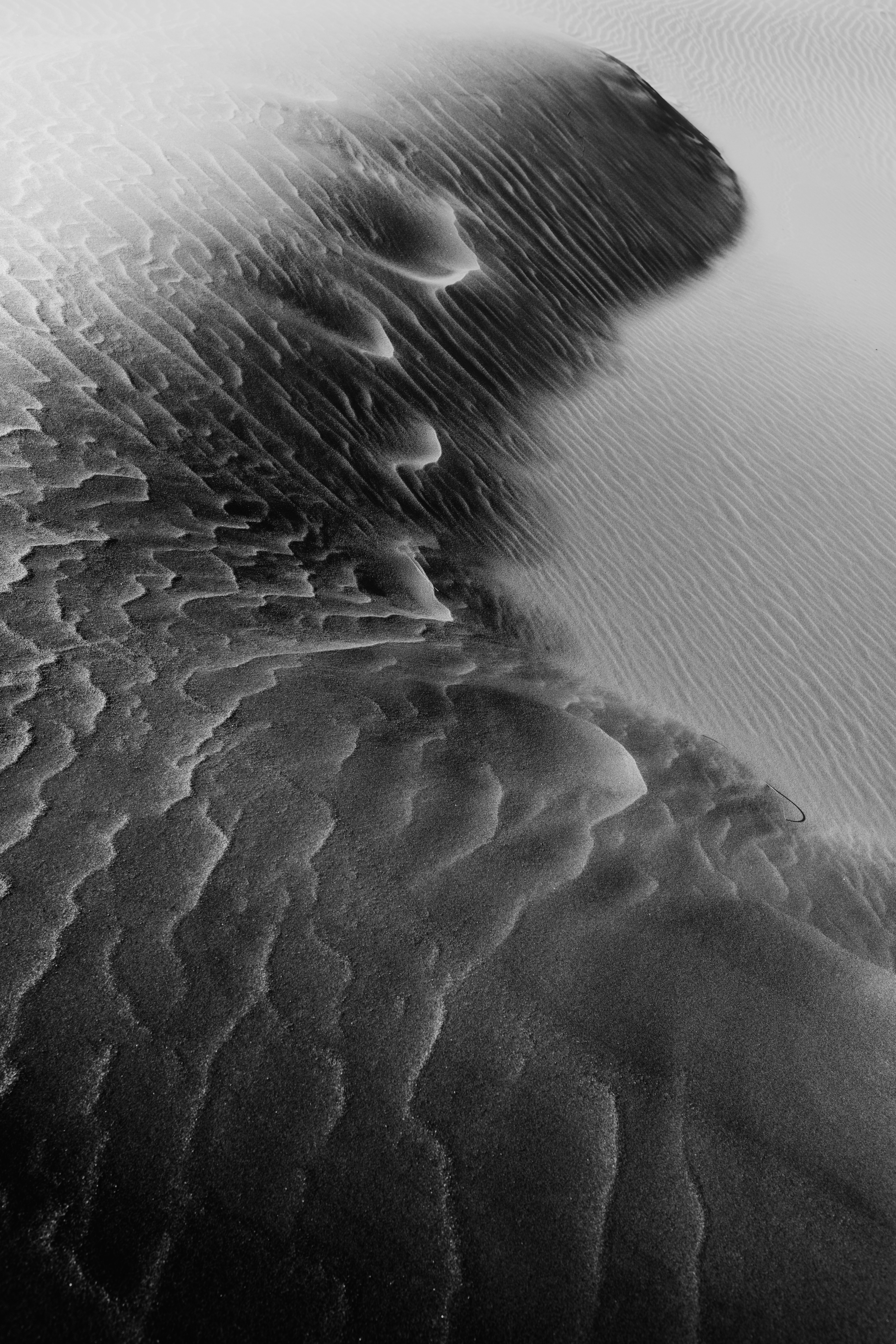 Photo by janfolwarczny